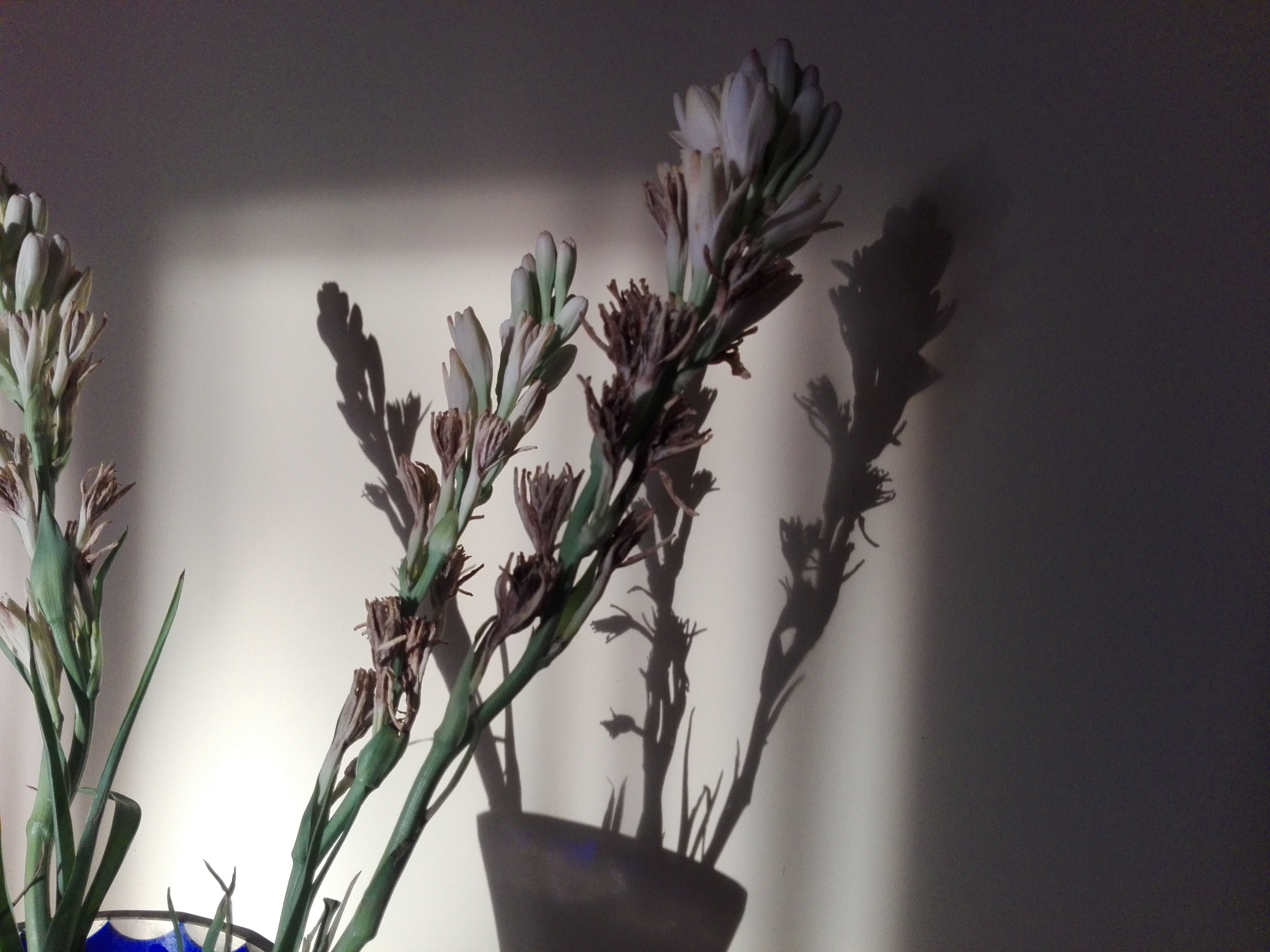 Vremea, 12/13 septembrie, în Oltenia (audio)