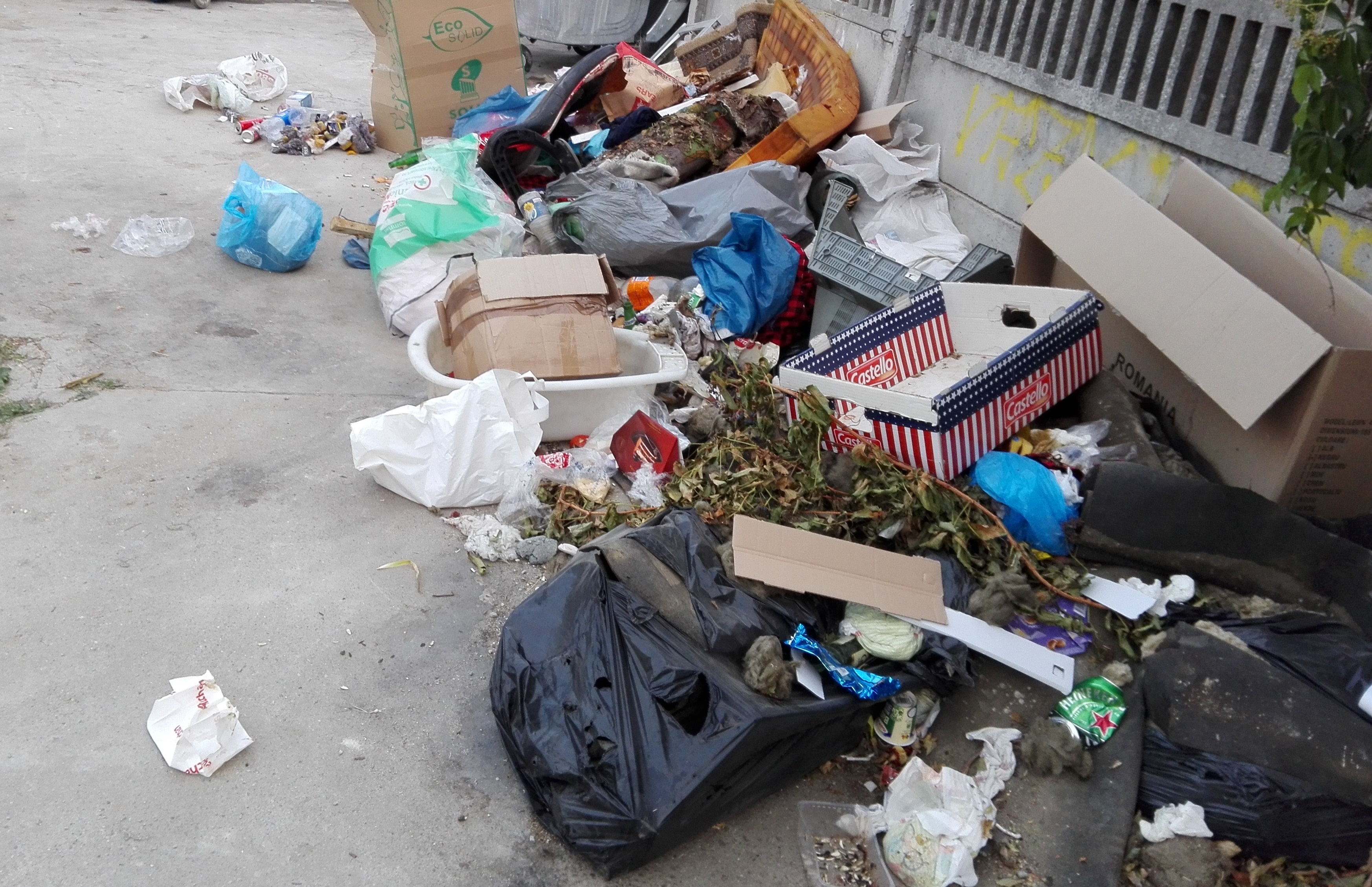 Let’s Do It, România! Ziua de Curăţenie Naţională pe 21 septembrie!