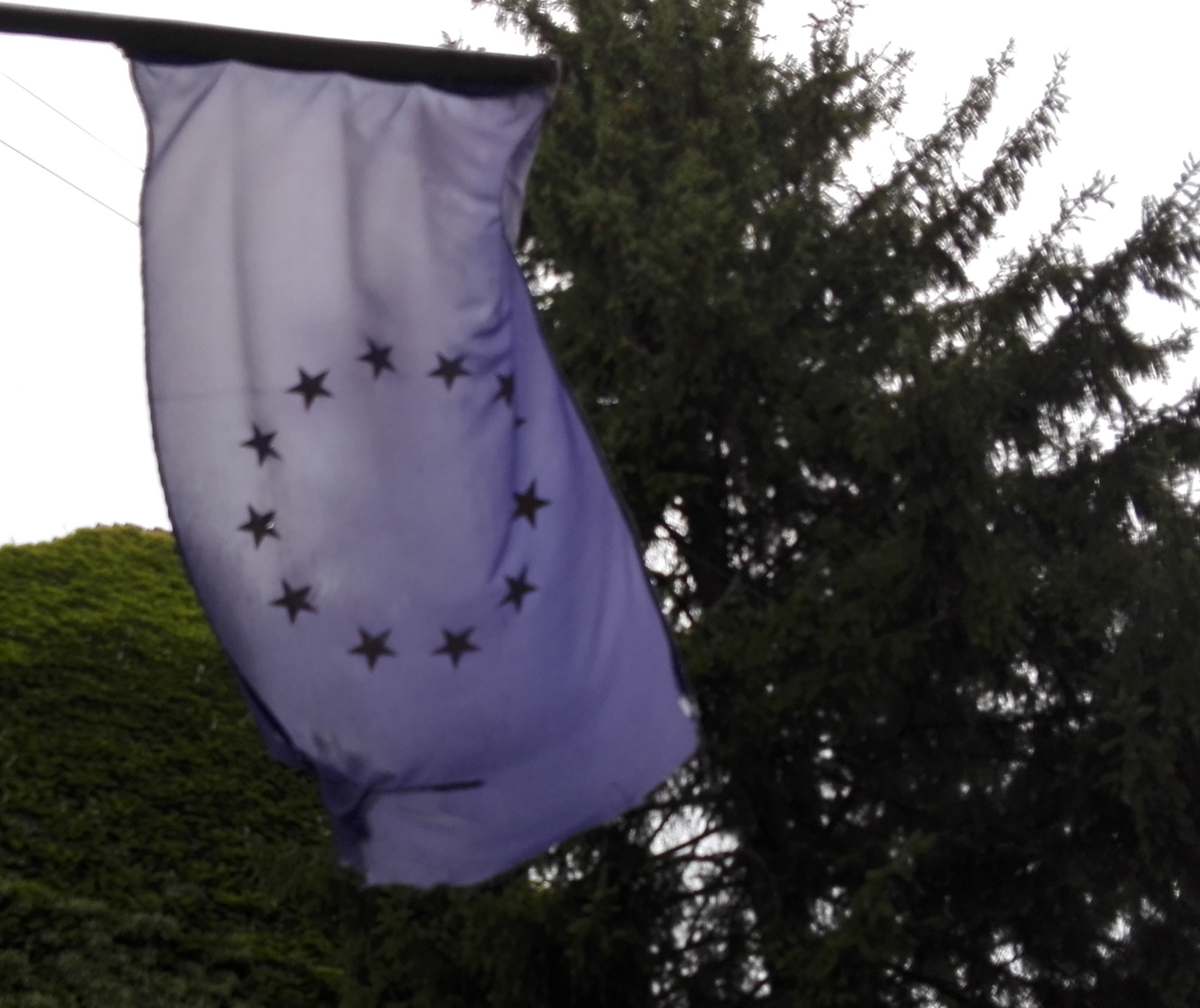 Comisia Europeană. Președintele ales, Ursula von der Leyen, și-a prezentat echipa