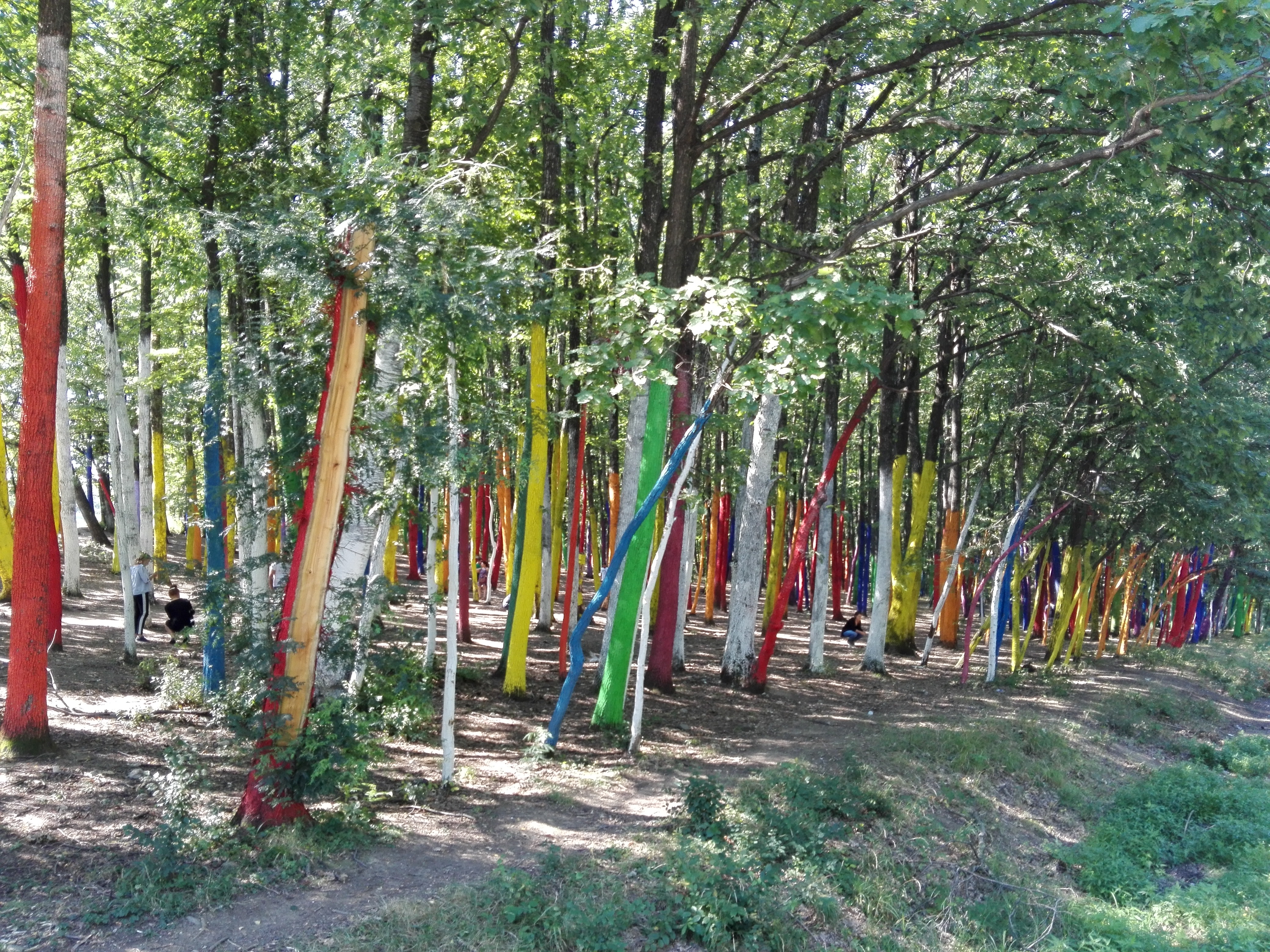 Vremea, astăzi, în Oltenia