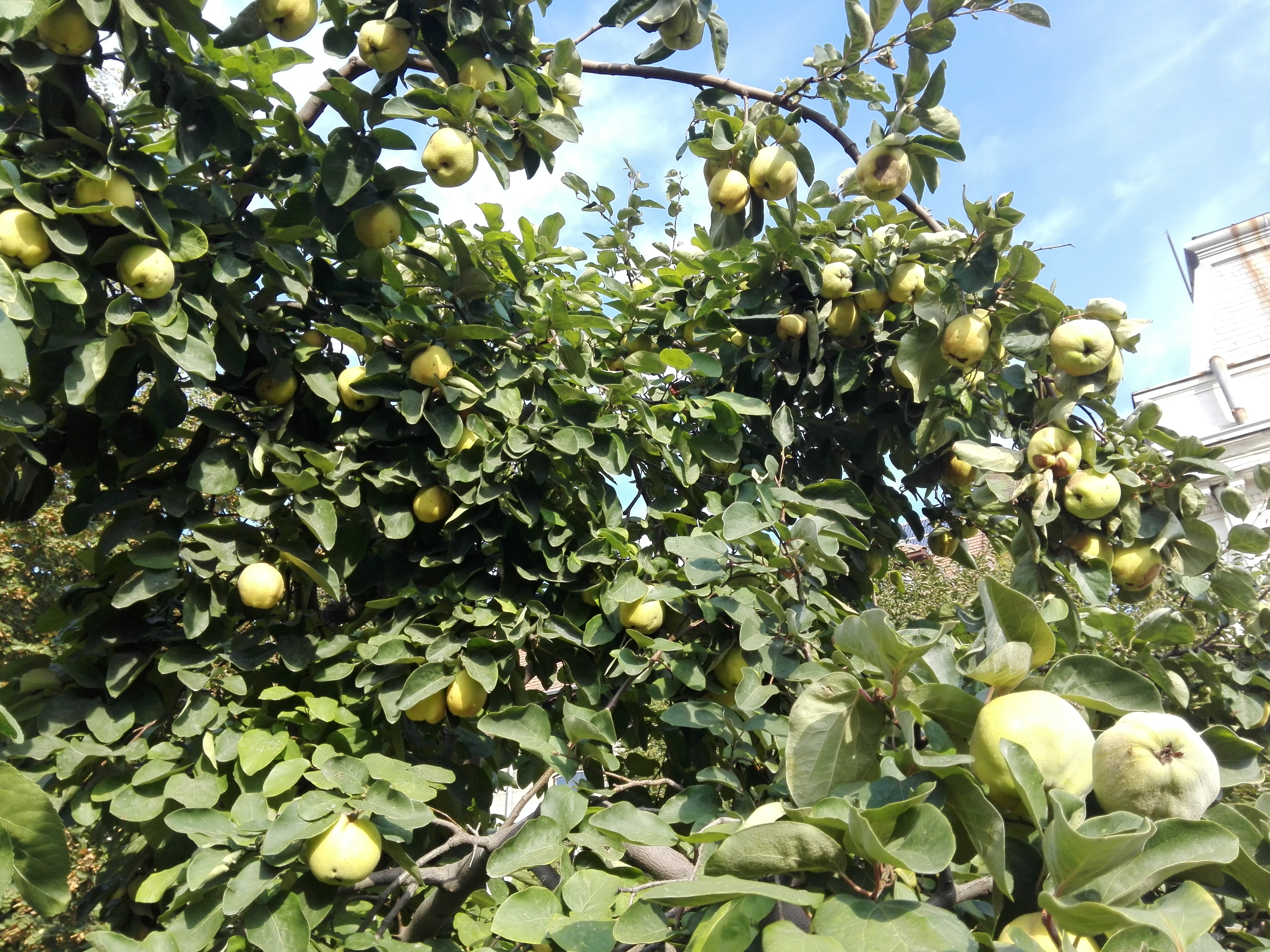 Prognoza meteo pentru noiembrie