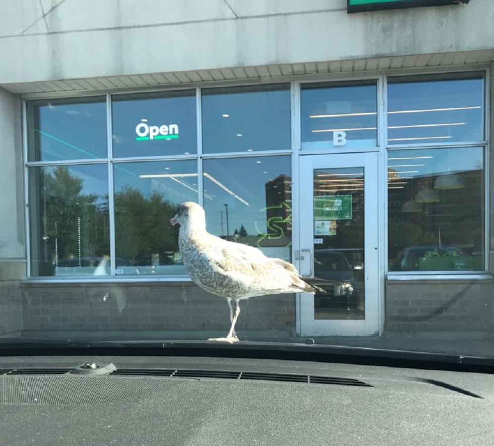 Azi despre ieri – 11 octombrie 2019