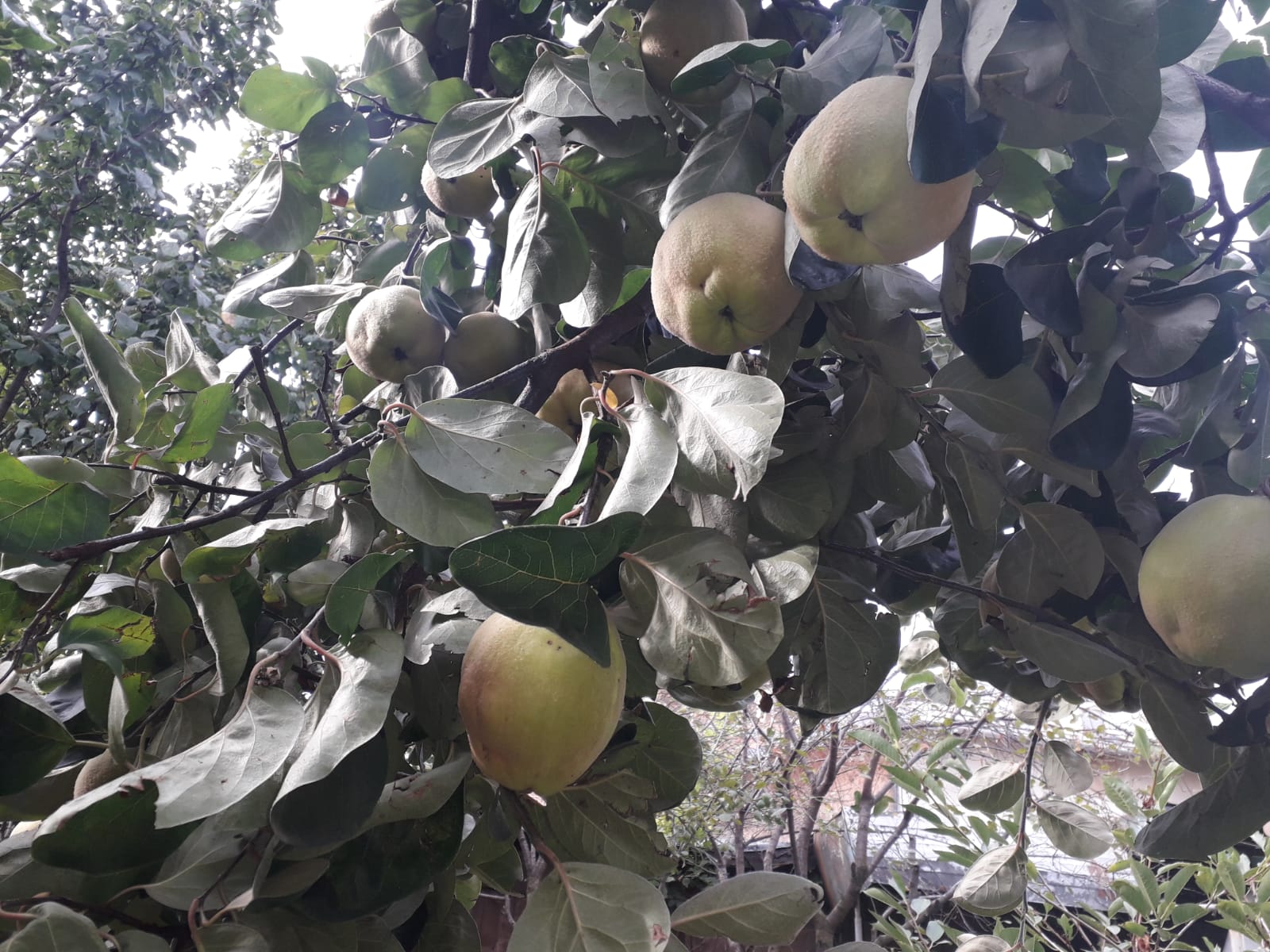 Azi despre ieri – 10 octombrie 2019