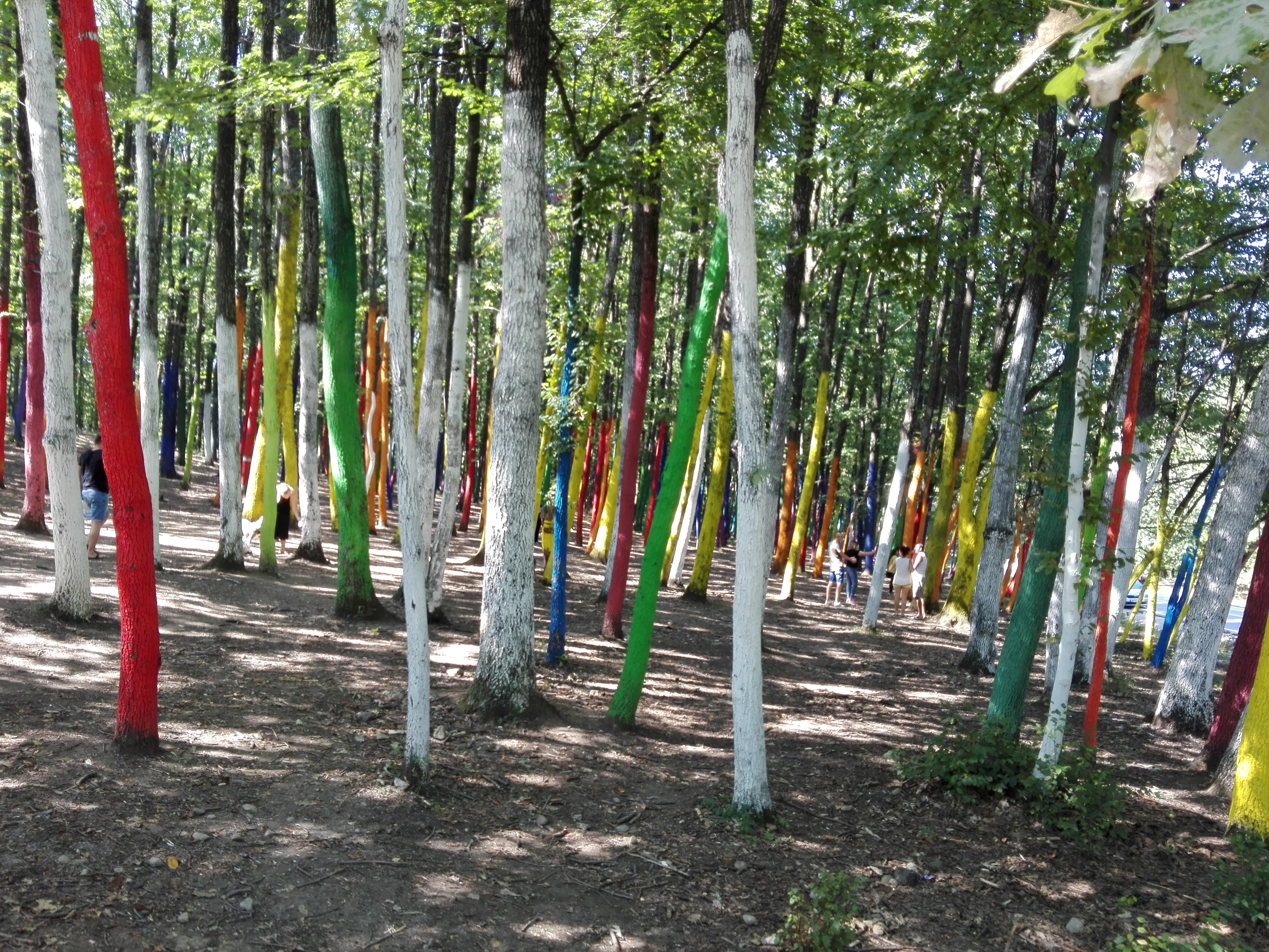 Vremea, 7/8 octombrie, în Oltenia