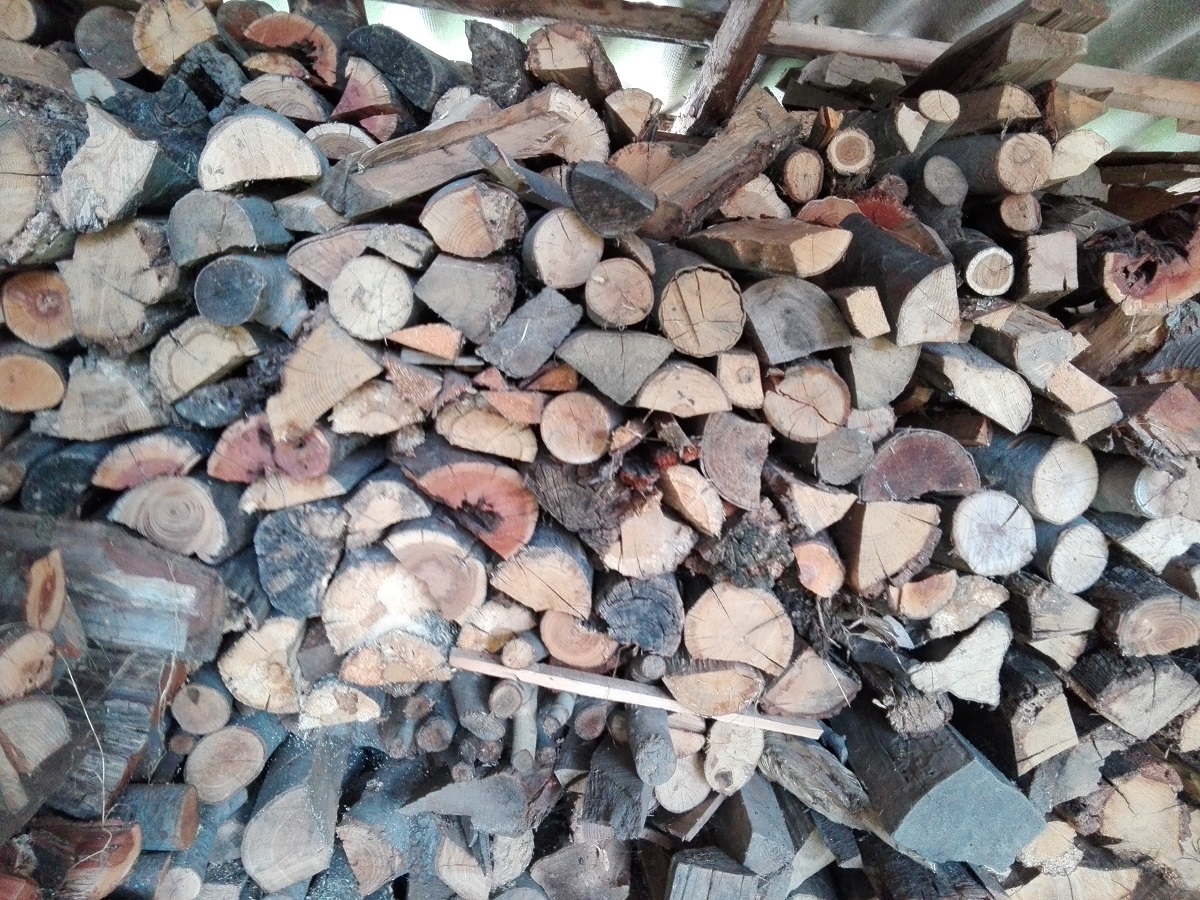 Raport Greenpeace România (audio)