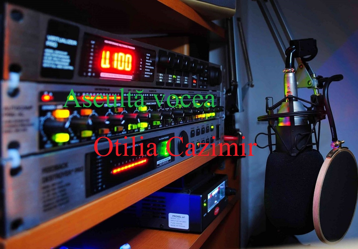 Ascultă vocea – Otilia Cazimir