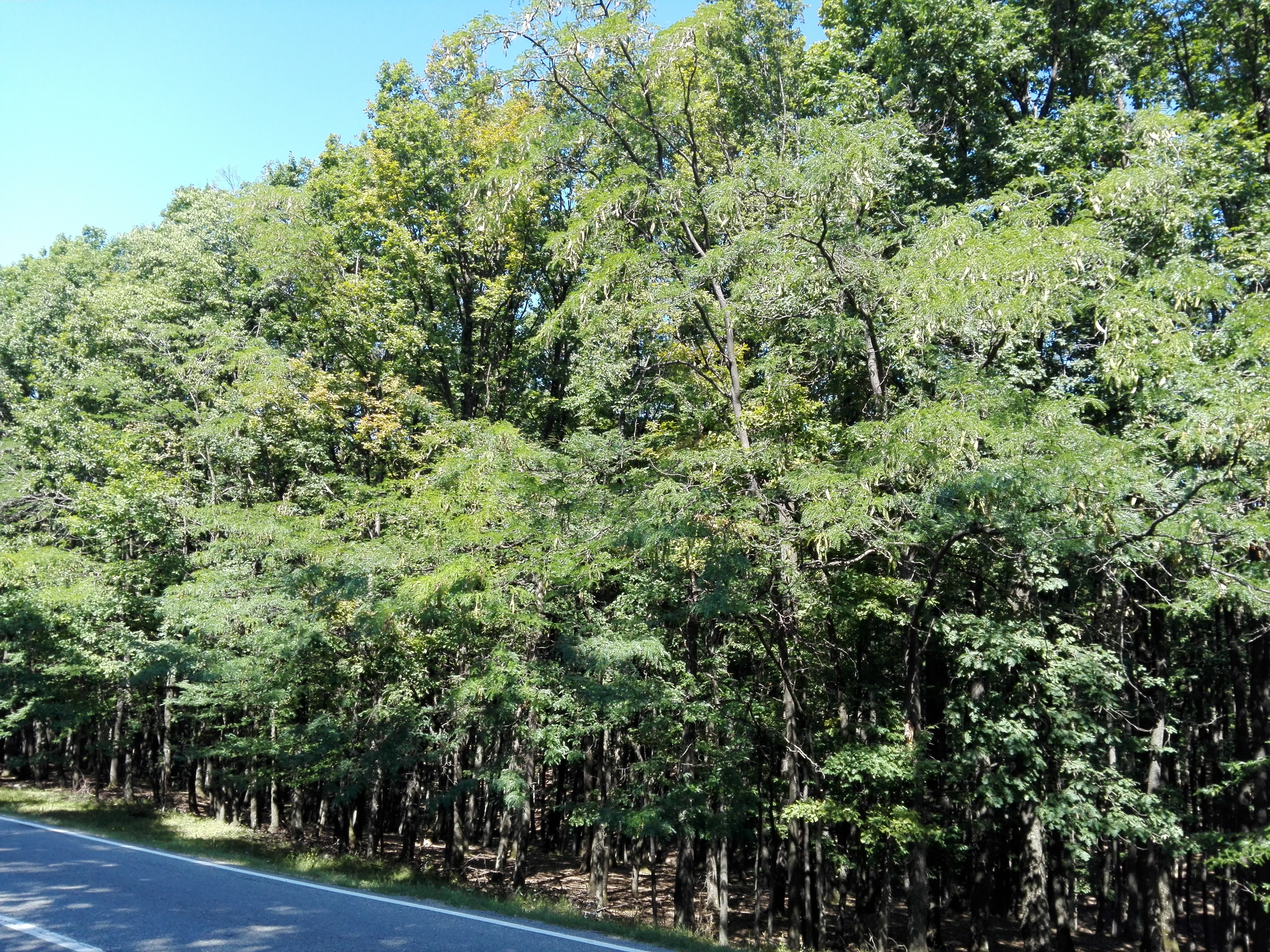 Azi despre ieri – 16 octombrie 2019