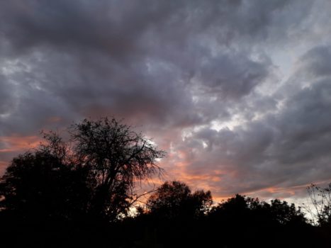 Cod galben de vânt în Gorj și Vâlcea