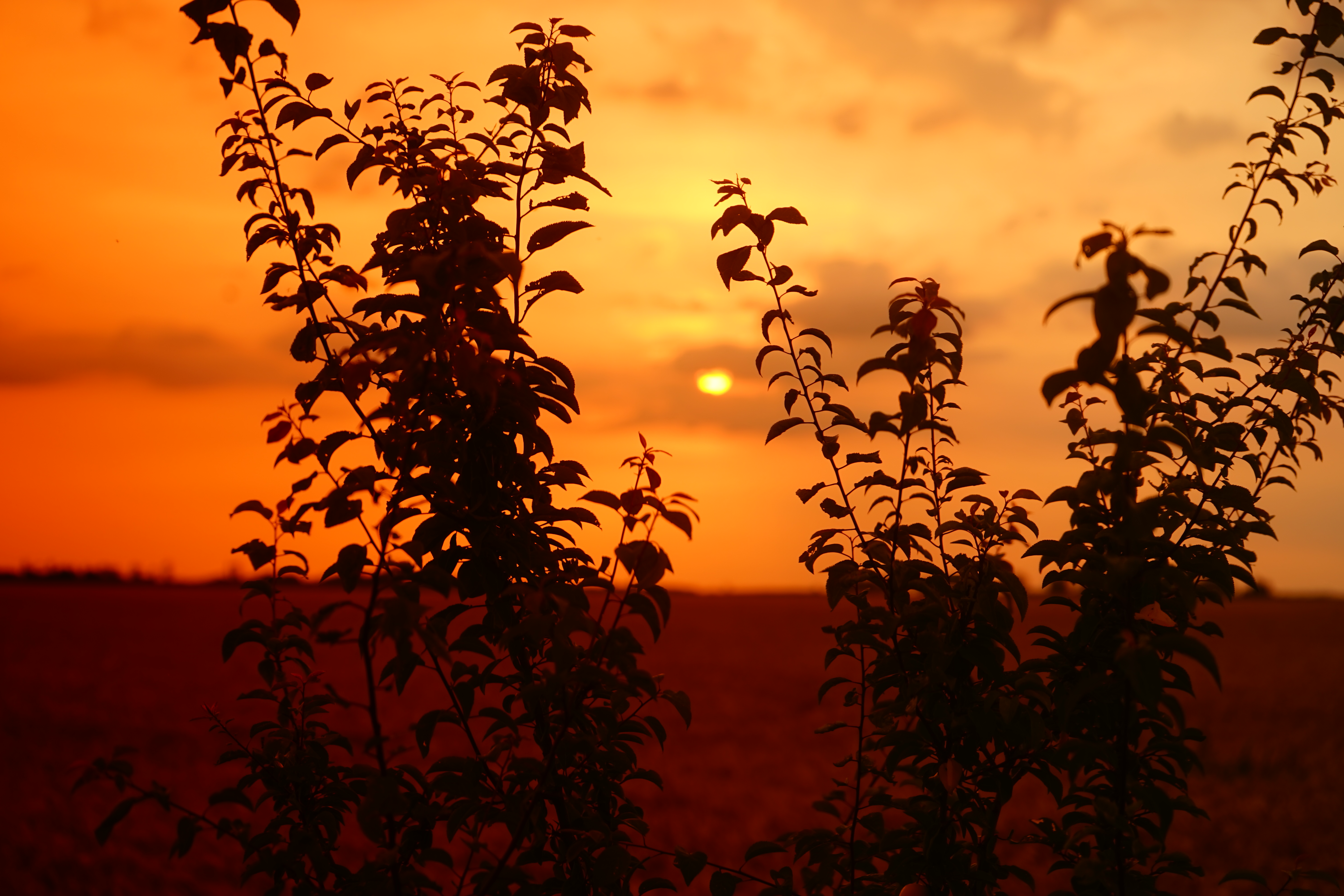 Azi despre ieri – 28 octombrie 2019