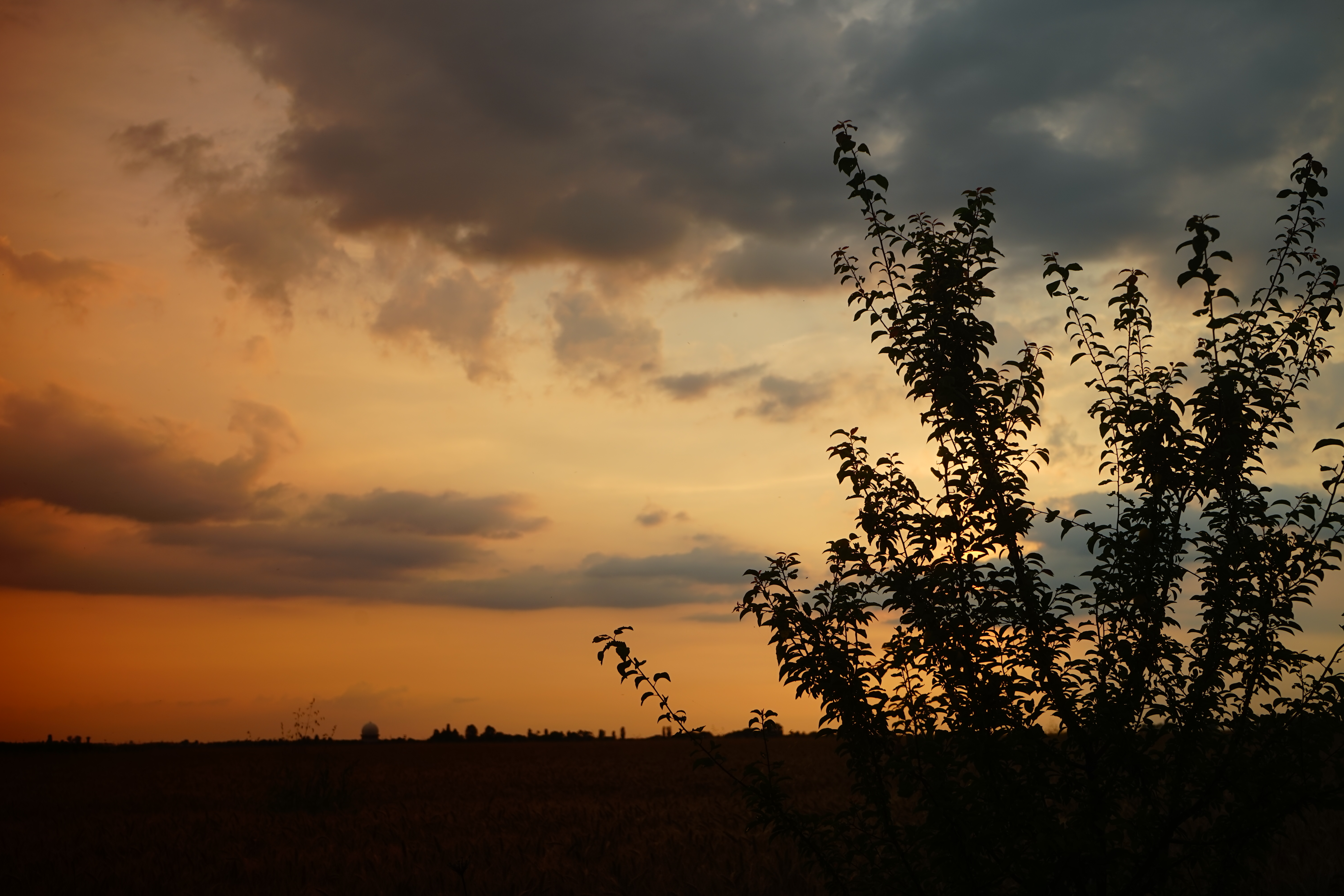 Azi despre ieri – 30 octombrie 2019