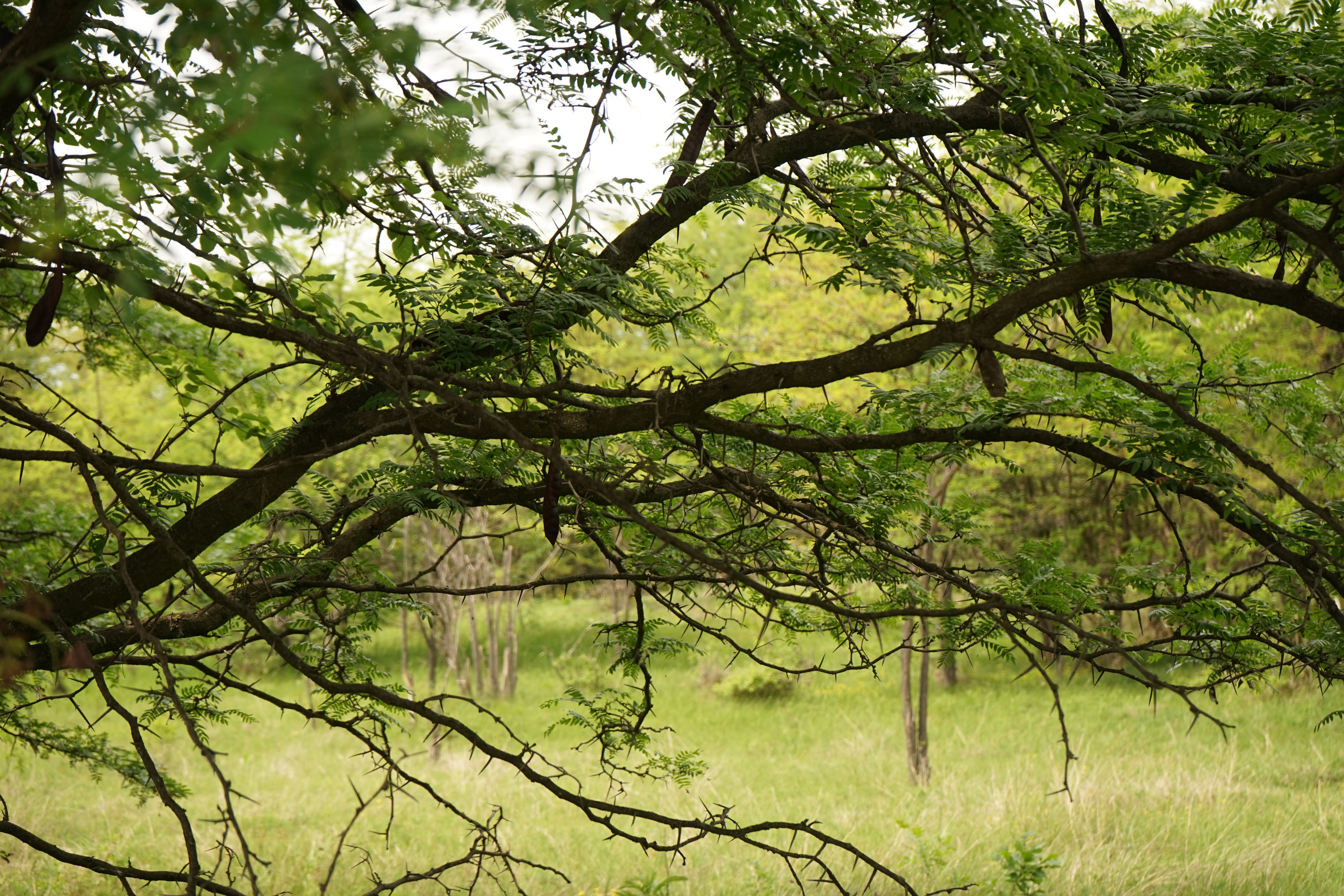 Azi despre ieri – 22 octombrie 2019