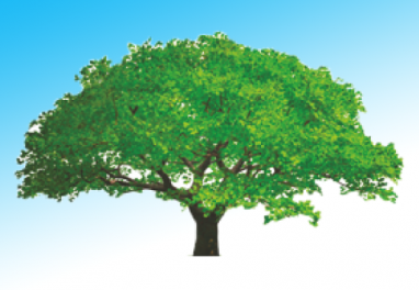 ONG-urile ies în stradă