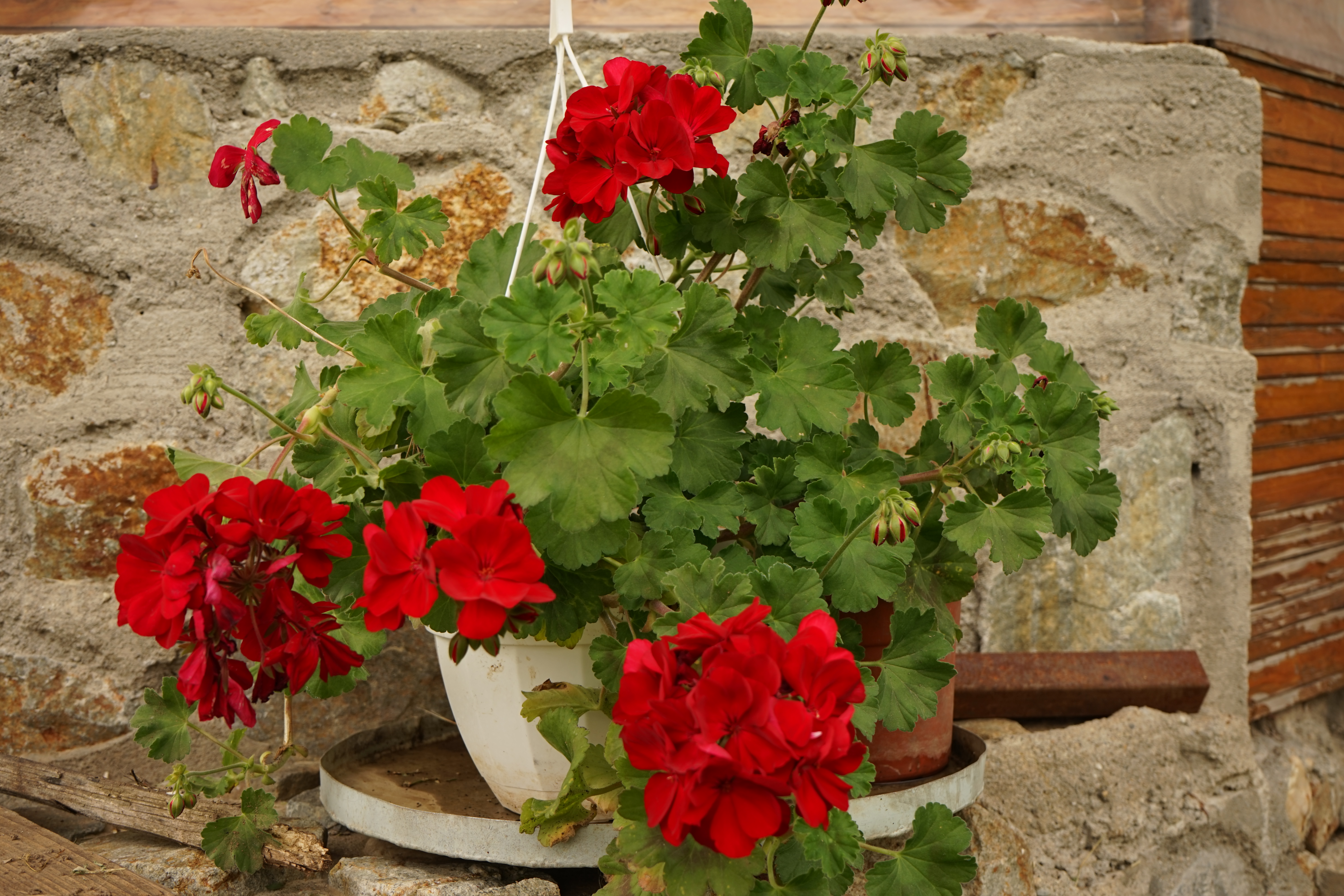 Azi despre ieri – 26 octombrie 2019