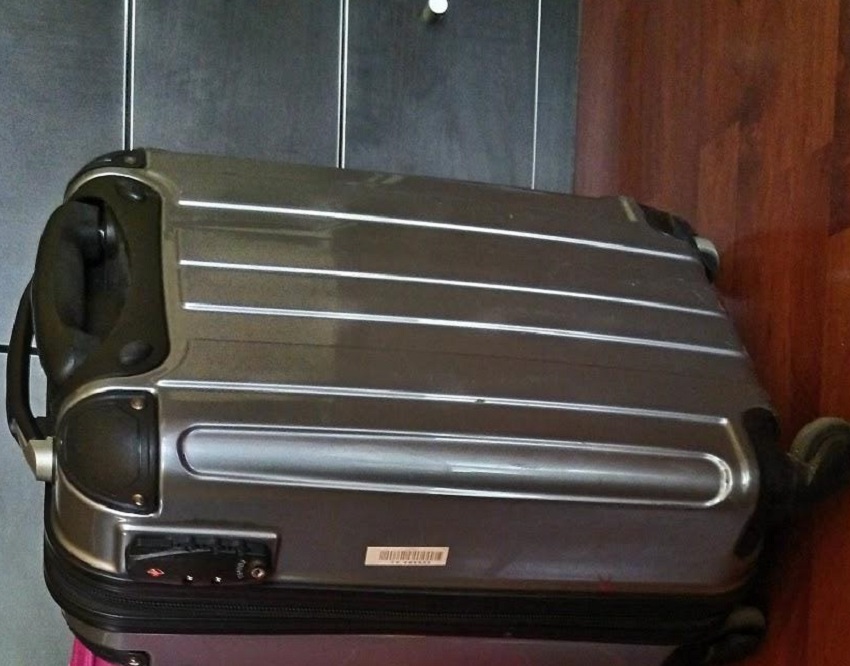 Gita, primul bagaj robot