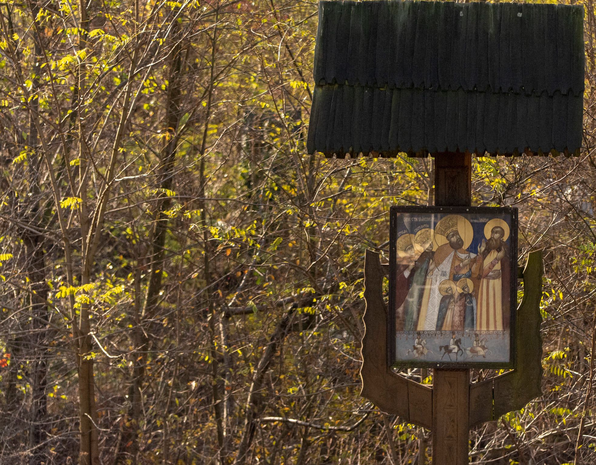 Azi despre ieri – 22 decembrie 2019