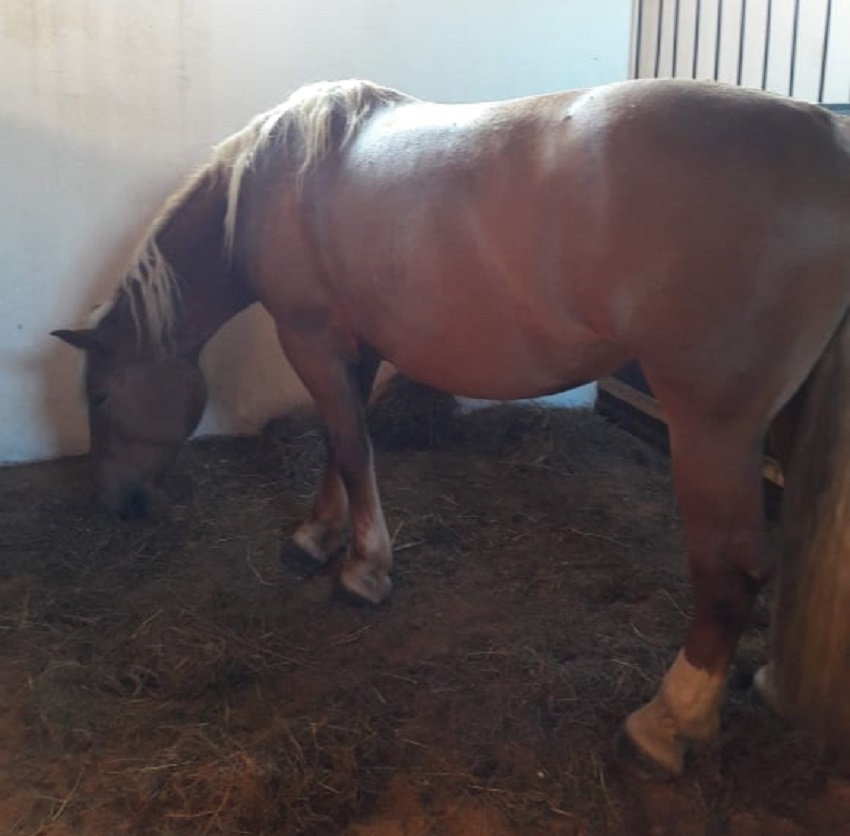 Azi despre ieri – 16 noiembrie 2019