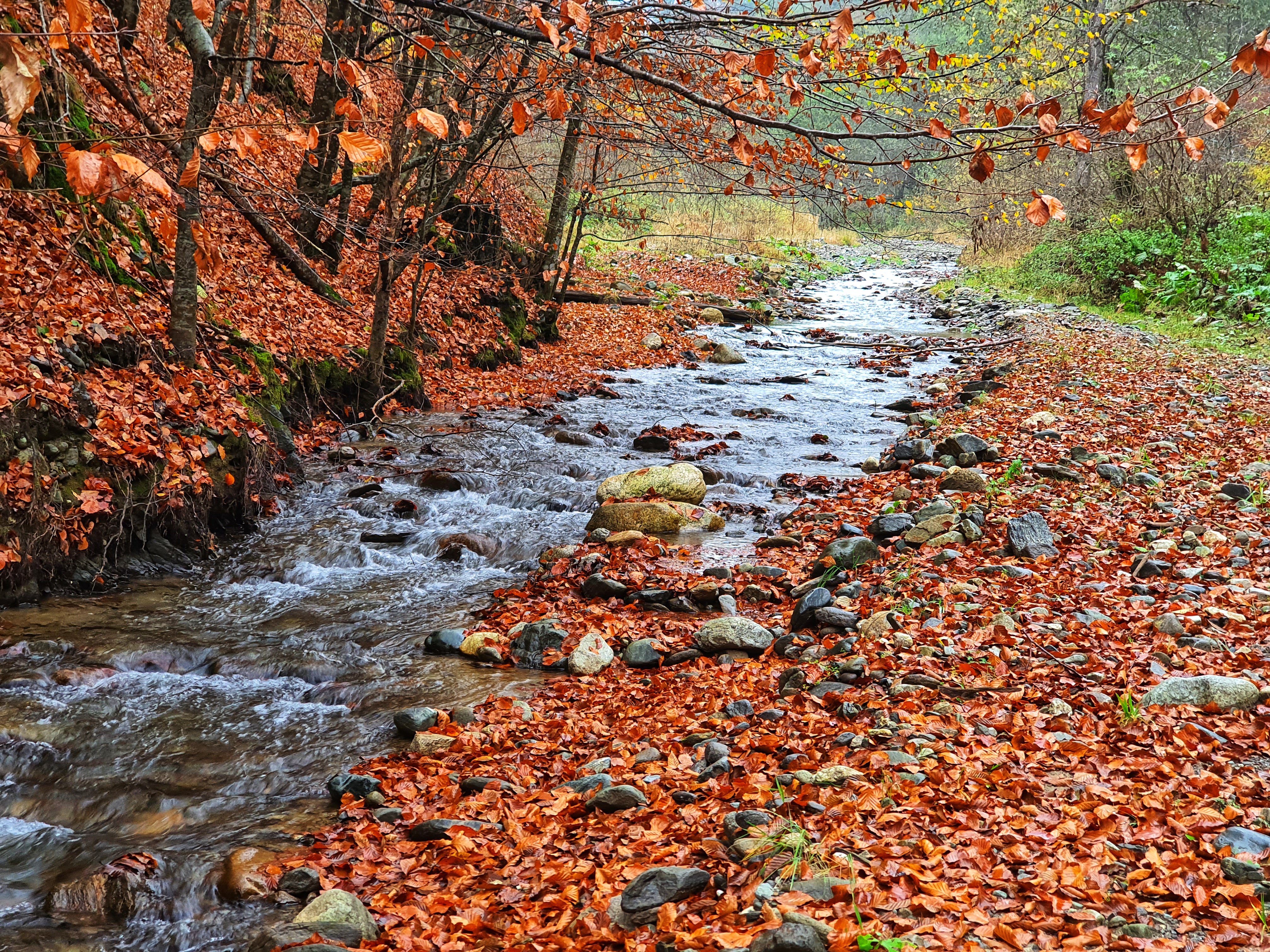 Azi despre ieri – 25 noiembrie 2019