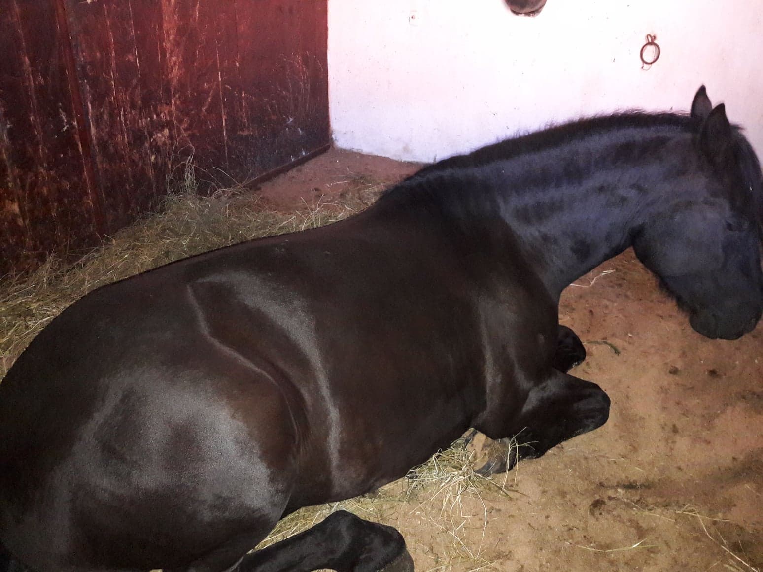 Azi despre ieri – 7 noiembrie 2019