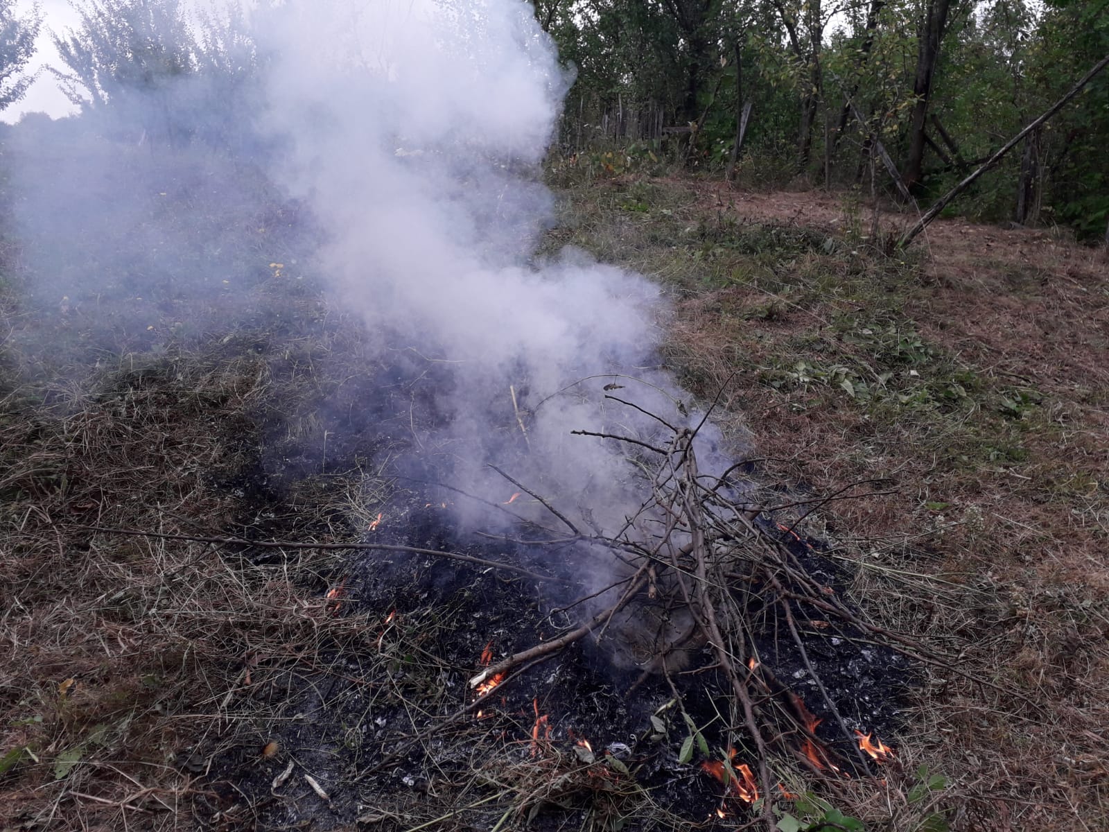 Vremea, 11/12 noiembrie, în Oltenia (audio)