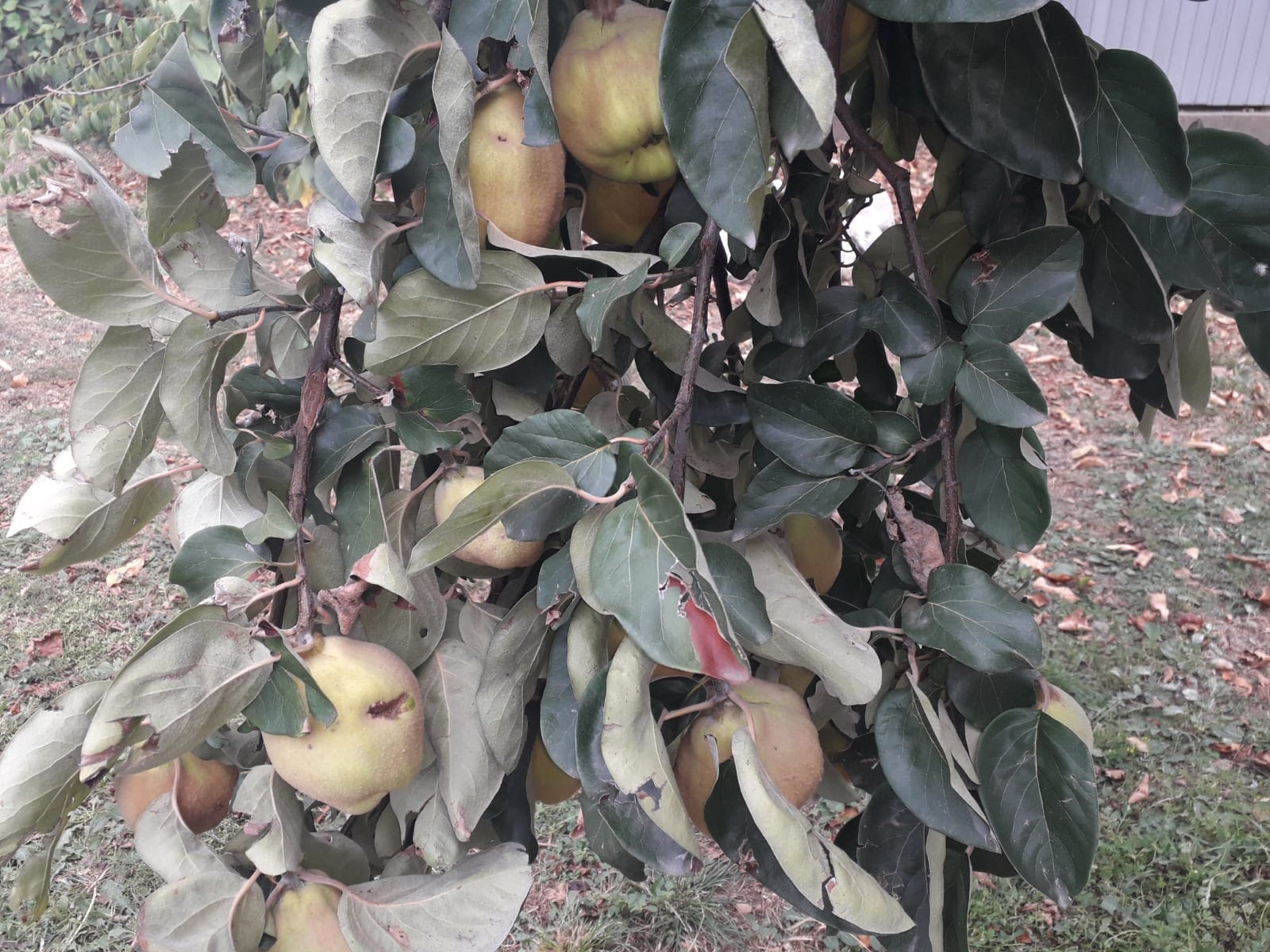 Azi despre ieri – 18 noiembrie 2019