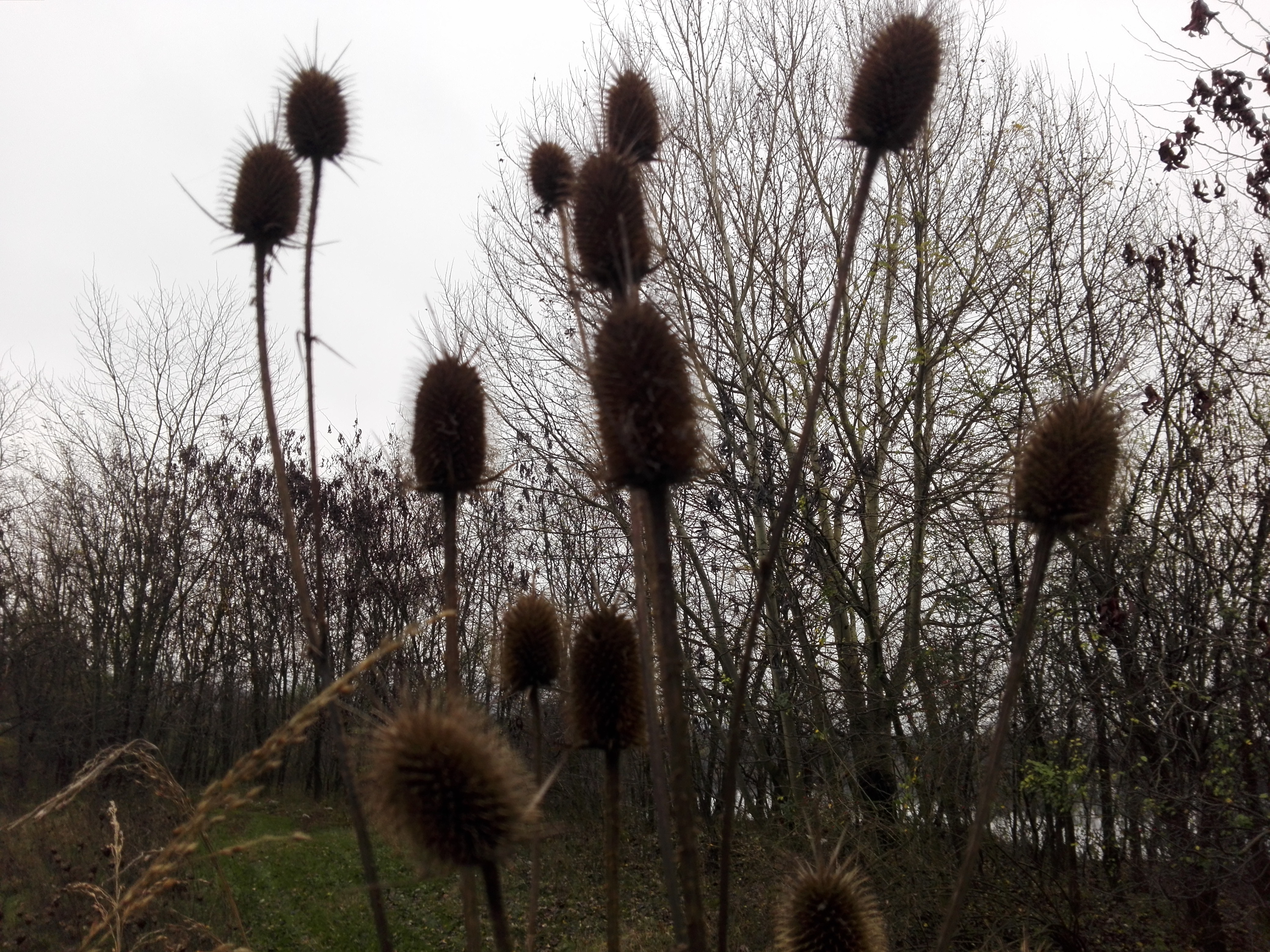 Azi despre ieri – 19 decembrie 2019