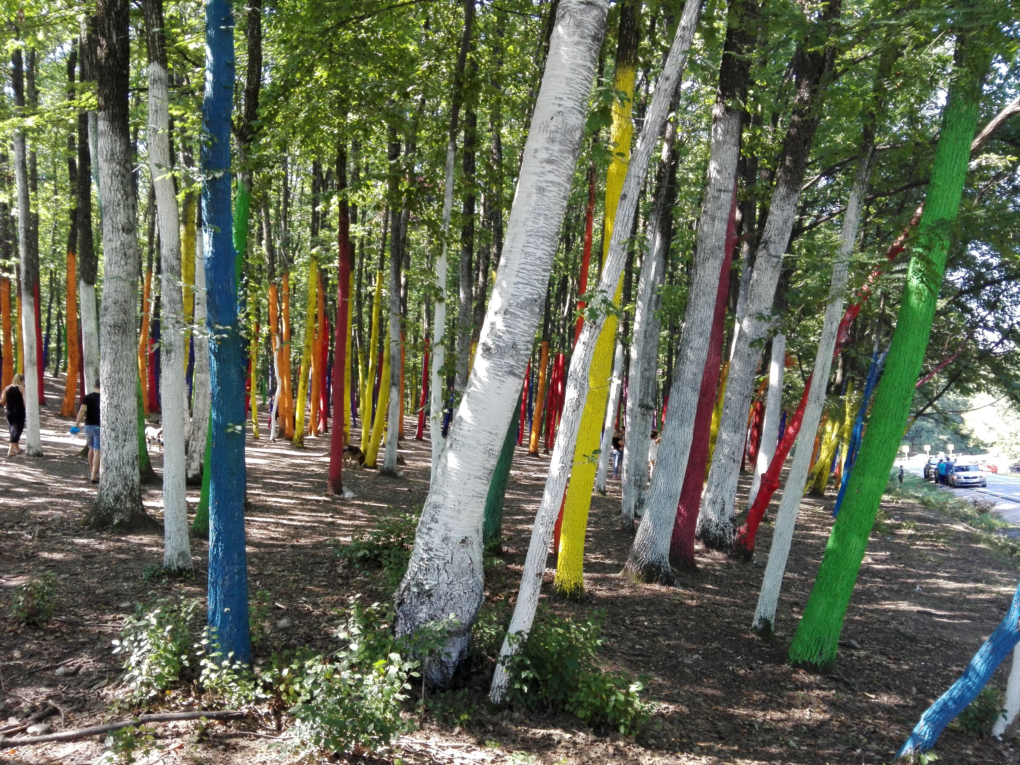 Vremea, duminică, în Oltenia (audio)