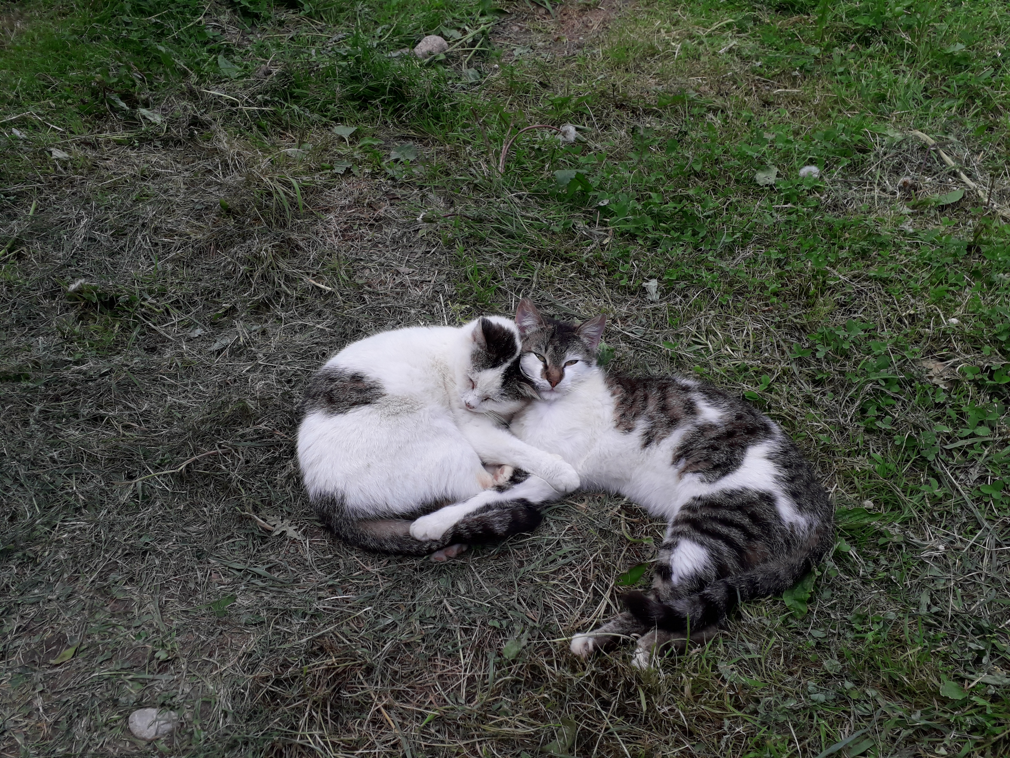 Vremea 18 noiembrie – 16 decembrie