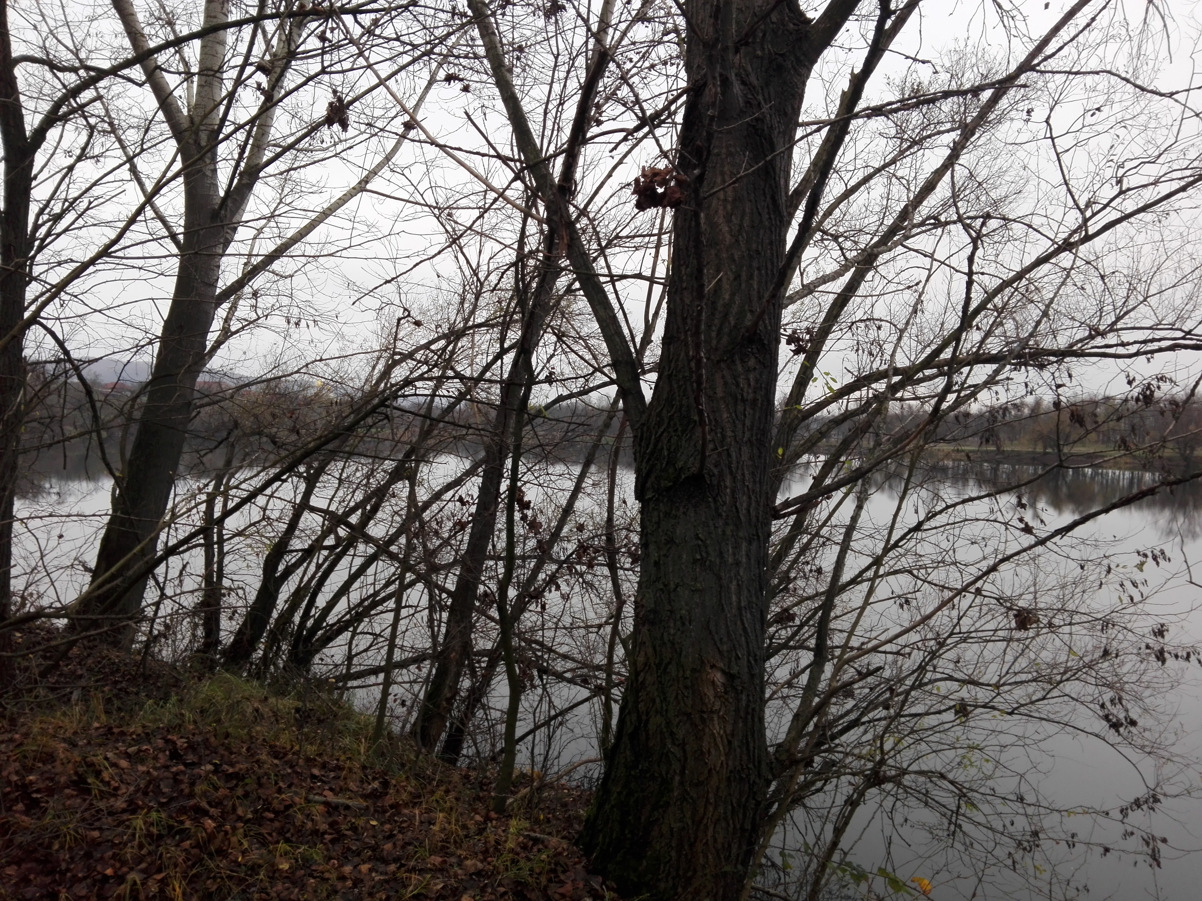 Cod galben de inundaţii pe râuri din şase judeţe