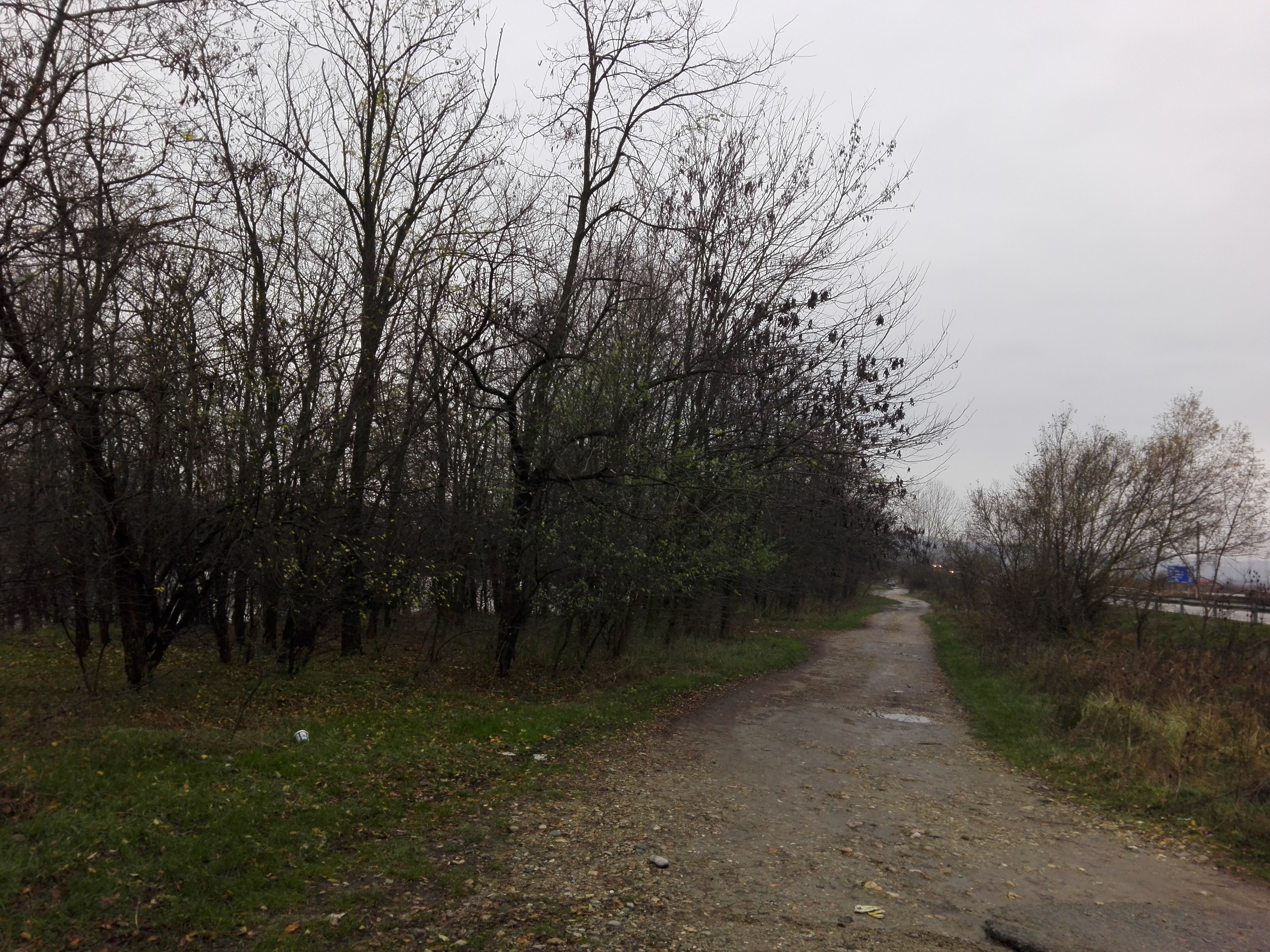 Azi despre ieri – 17 decembrie 2019