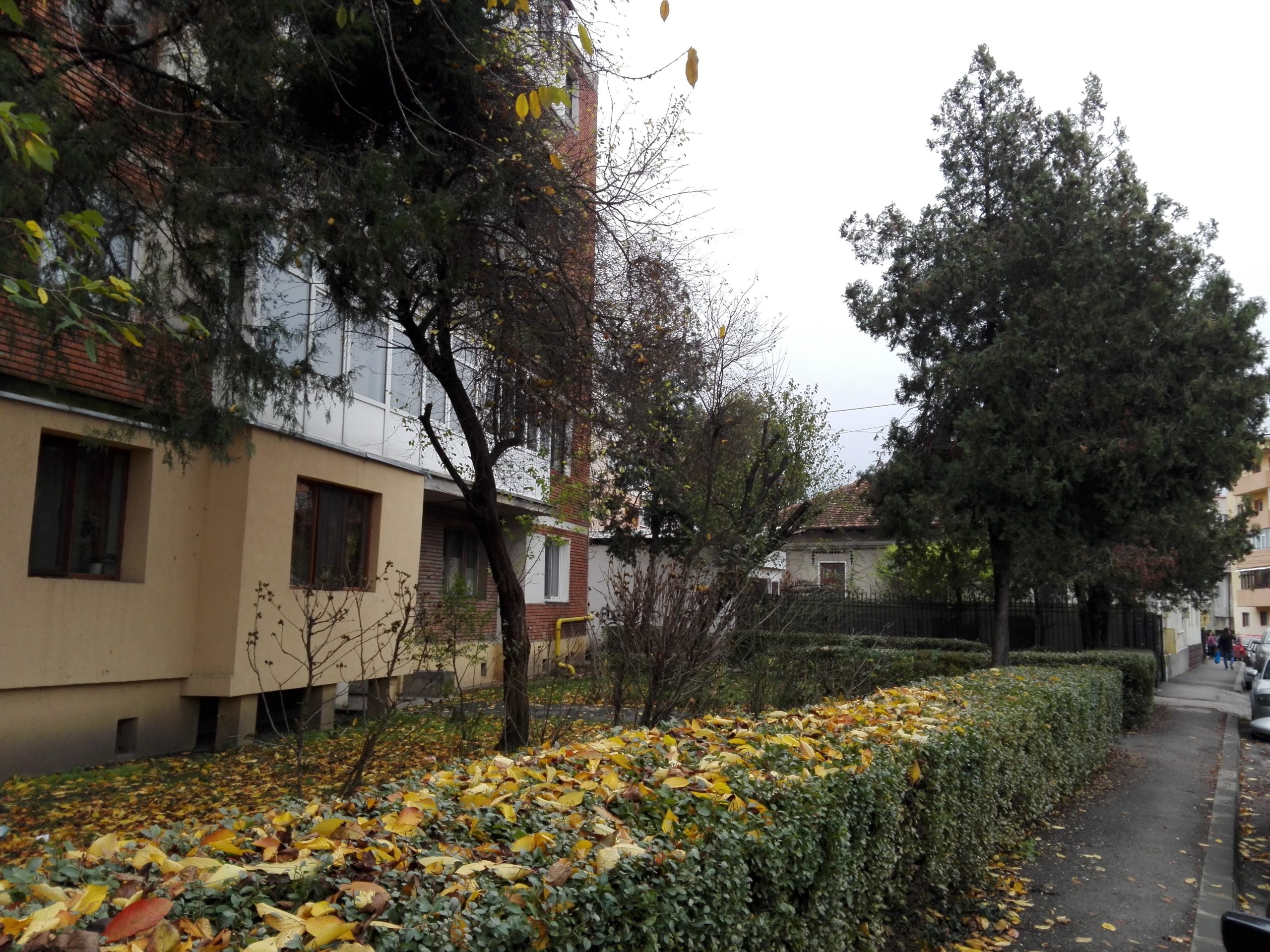 Vremea, 28/29 noiembrie, în Oltenia (audio)