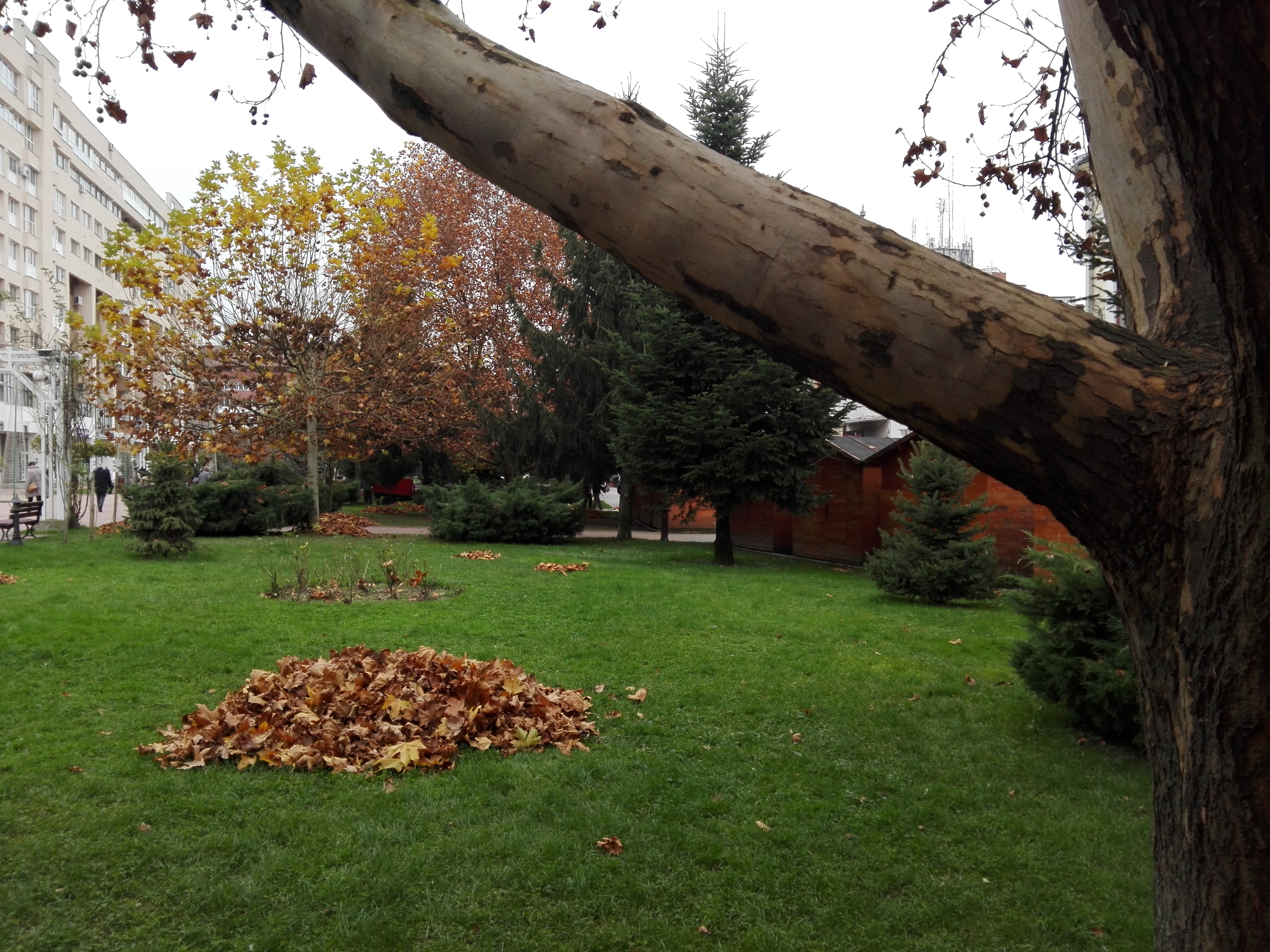 Azi despre ieri – 9 decembrie 2019