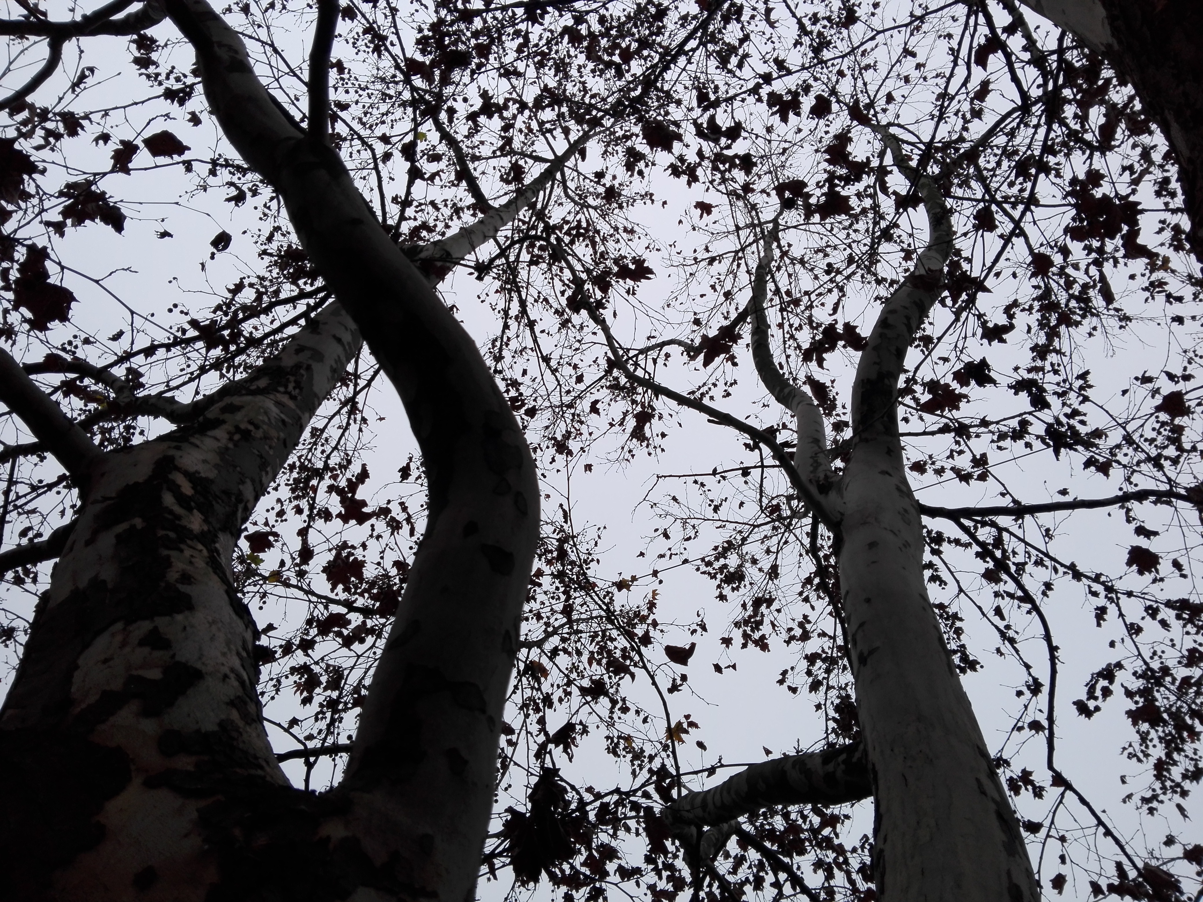 Azi despre ieri – 20 decembrie 2019