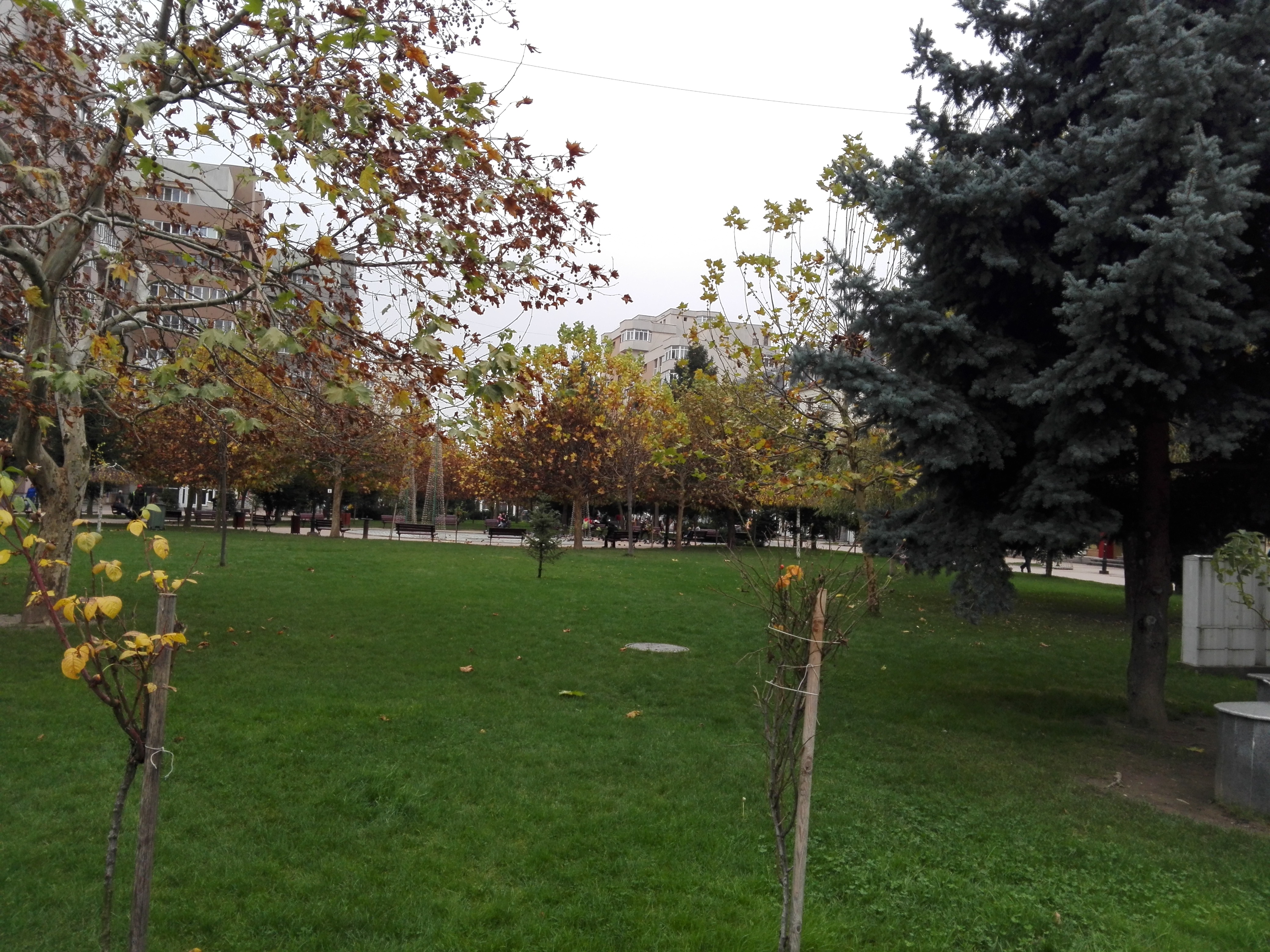 Azi despre ieri – 12 decembrie 2019