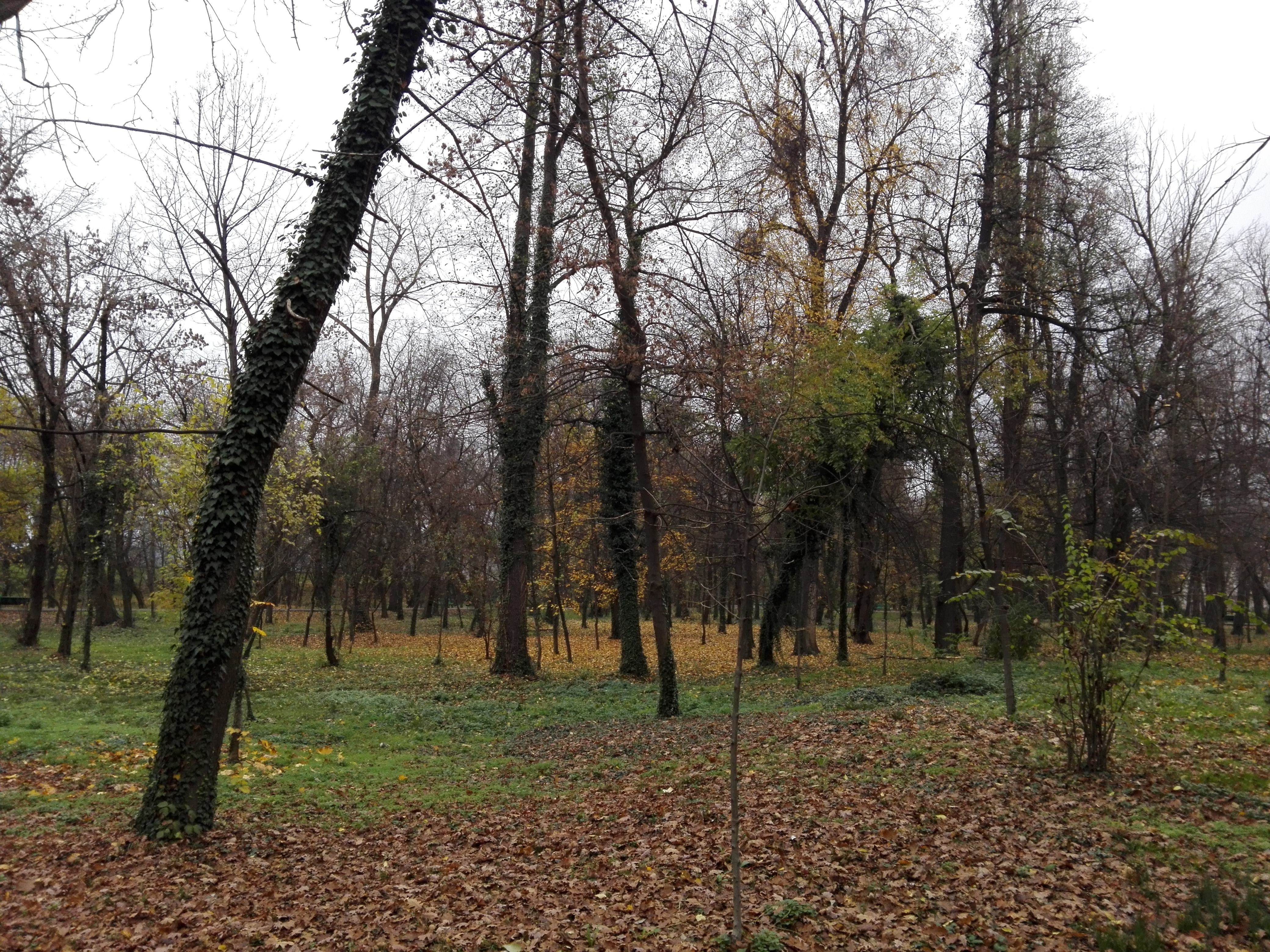 Azi despre ieri – 11 decembrie 2019