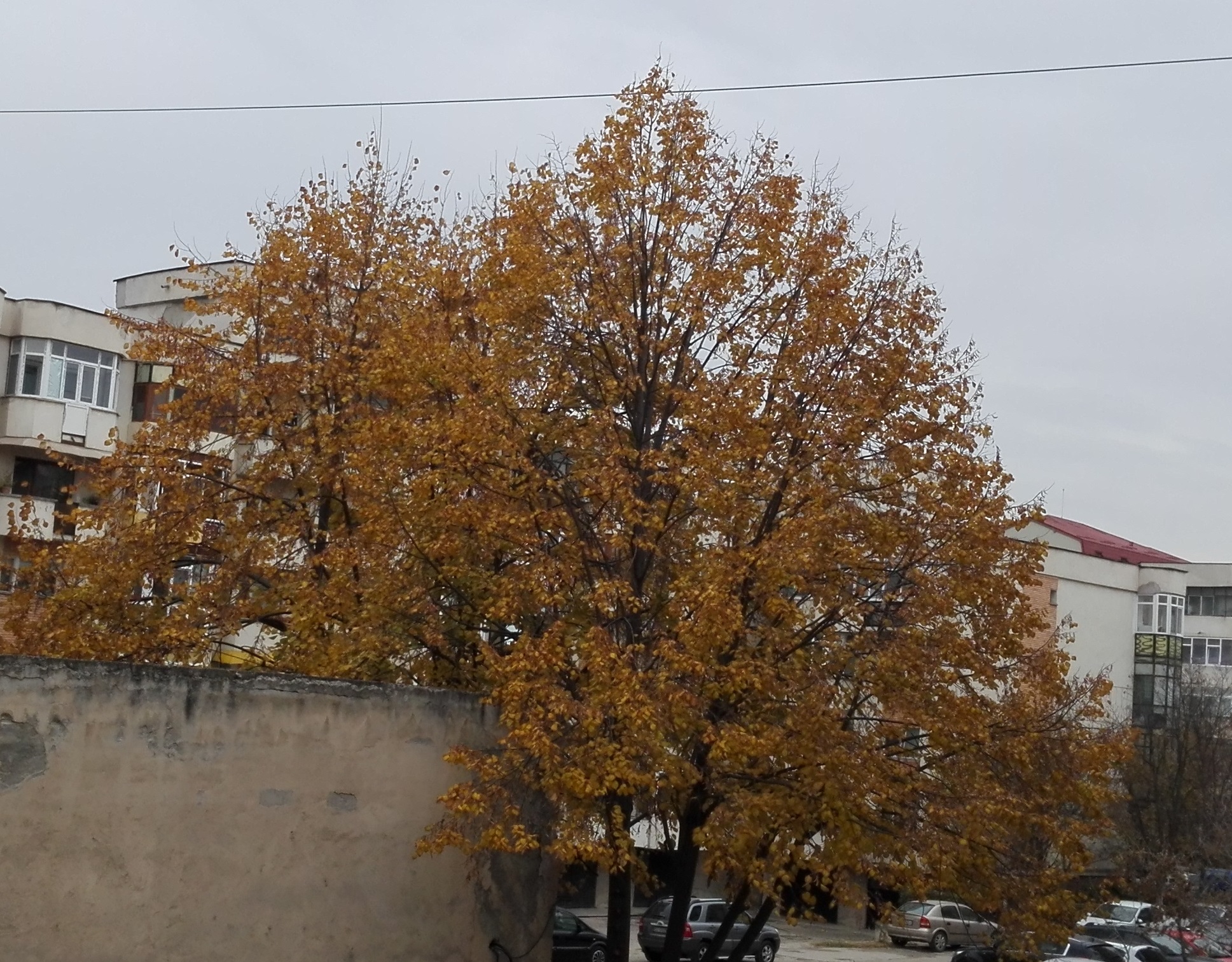 Vremea, 10/11 noiembrie, în Oltenia