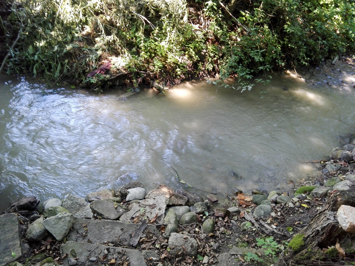 Vremea, sâmbătă, în Oltenia (audio)