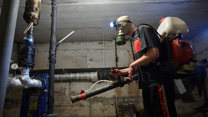 Acţiuni de control la prestatorii de servicii pentru deratizare, dezinfecţie şi dezinsecţie