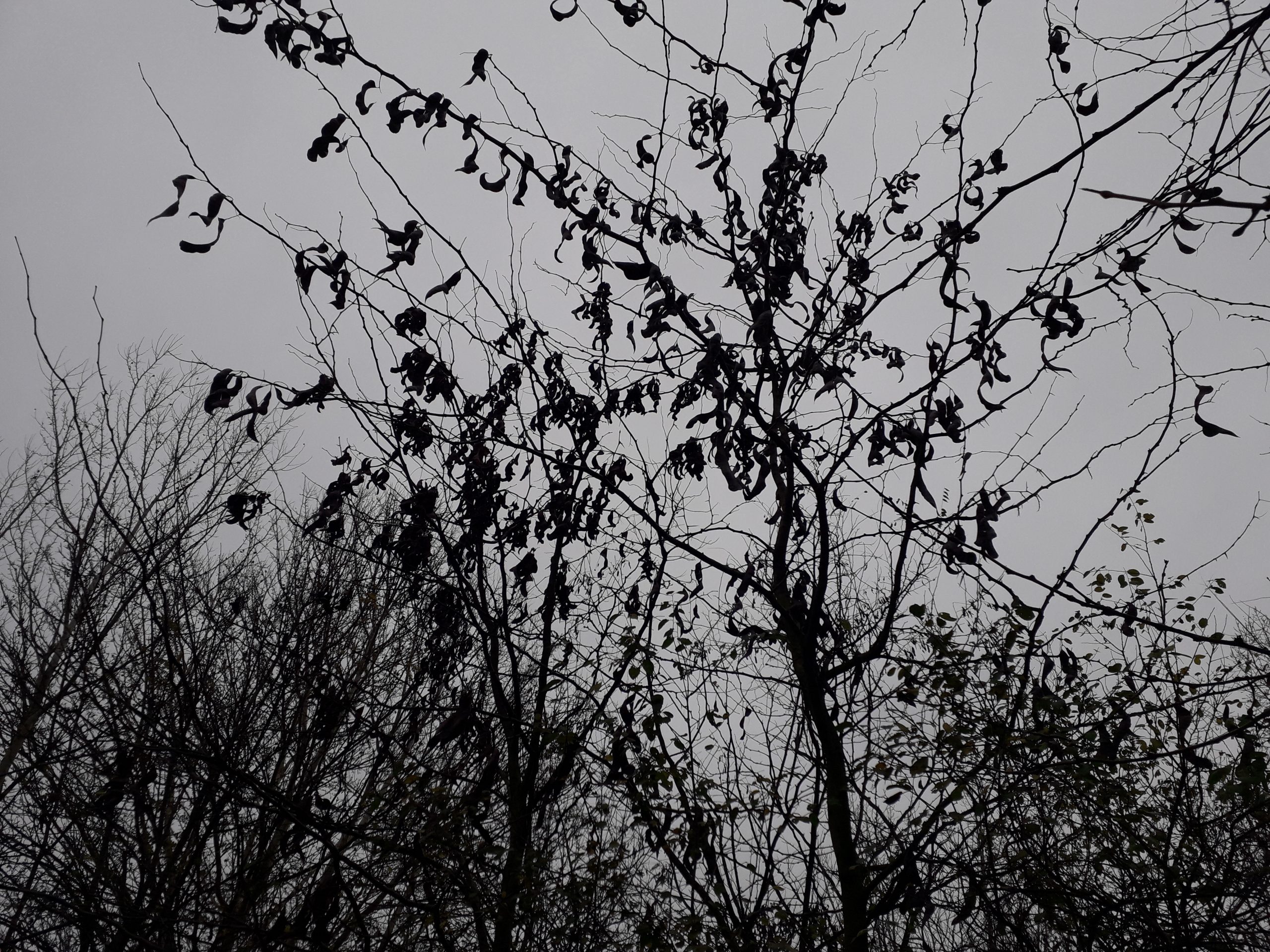 Azi despre ieri – 8 ianuarie 2020