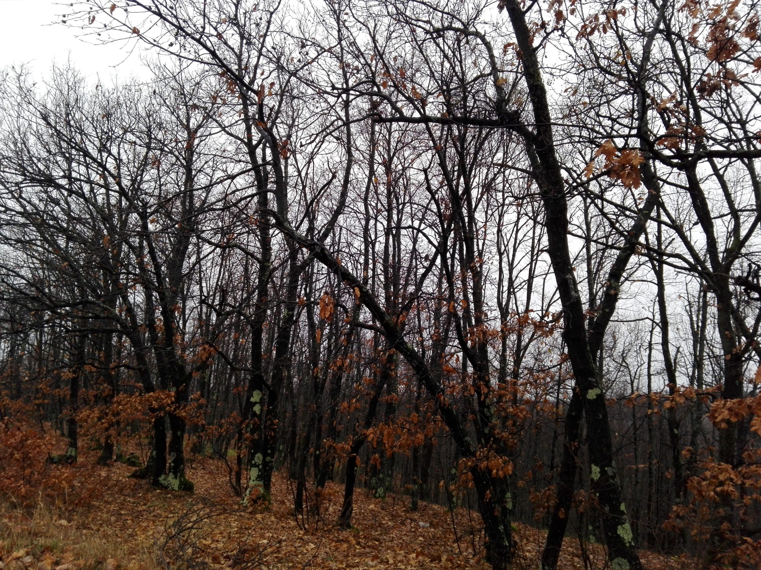 Azi despre ieri – 9 ianuarie 2020