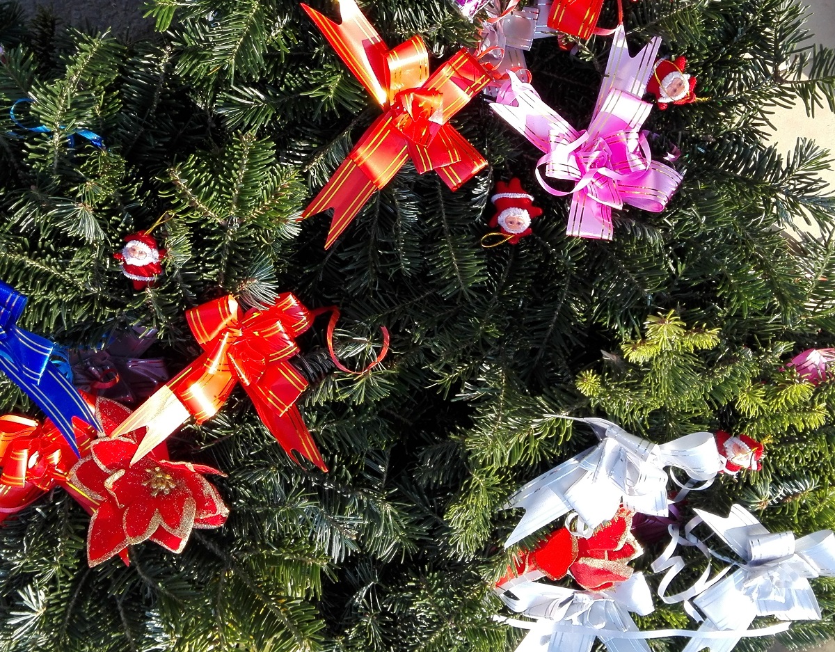 Toma Caragiu – Omul cu șopârla (audio)