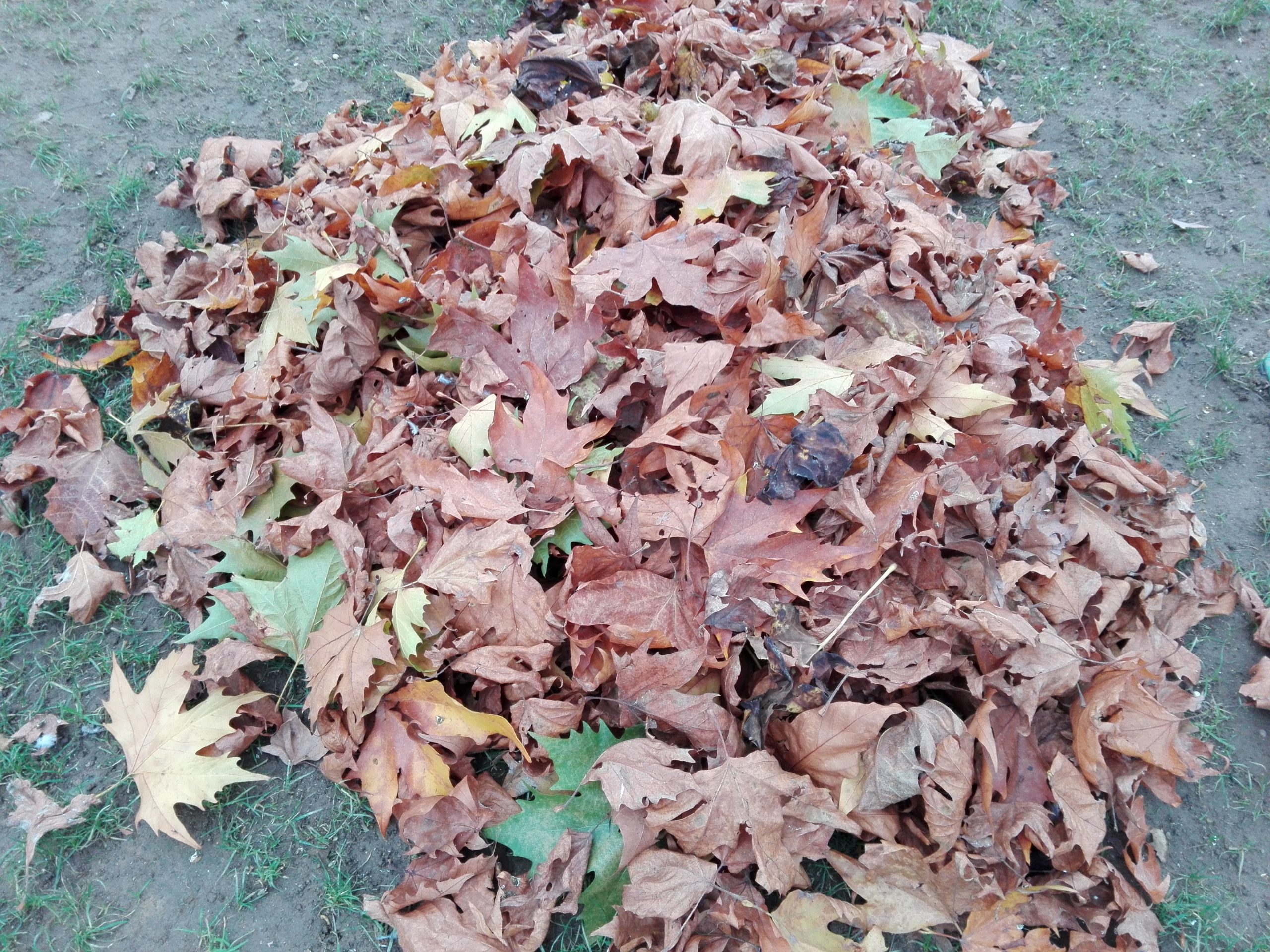 Vremea, sâmbătă, în Oltenia (audio)