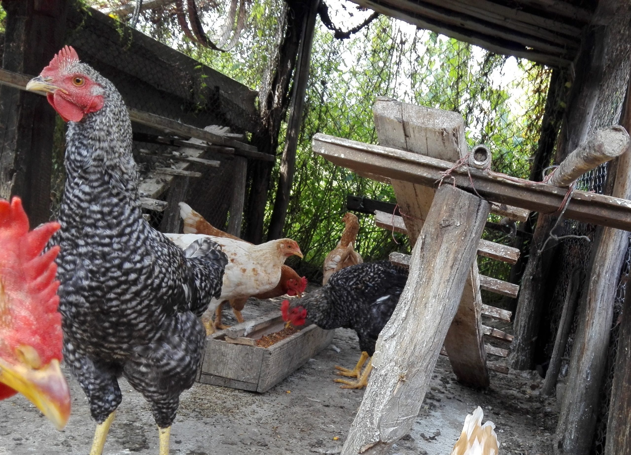 Azi despre ieri – 10 februarie 2020