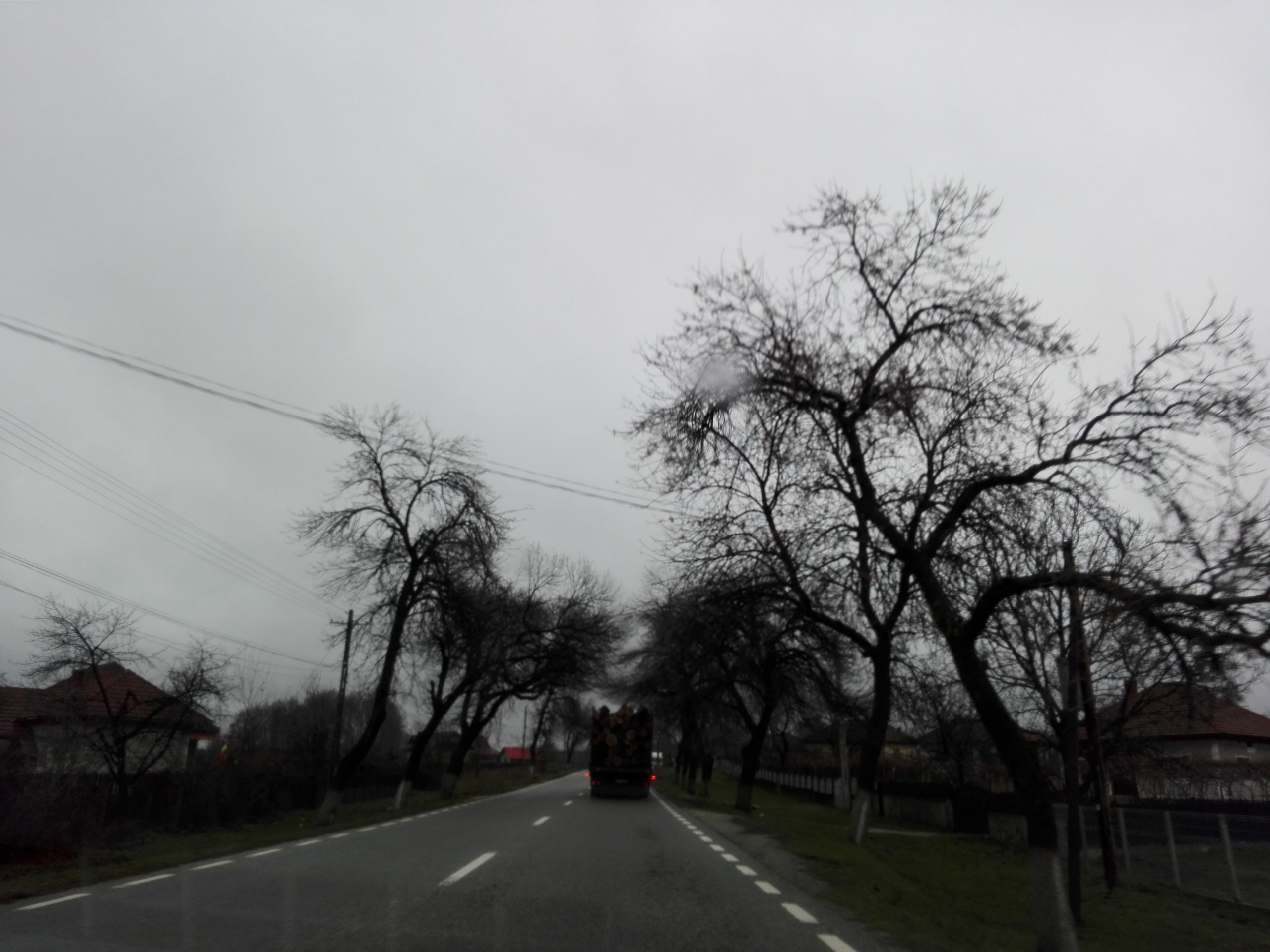 Cod galben de vânt în Dolj și Mehedinți