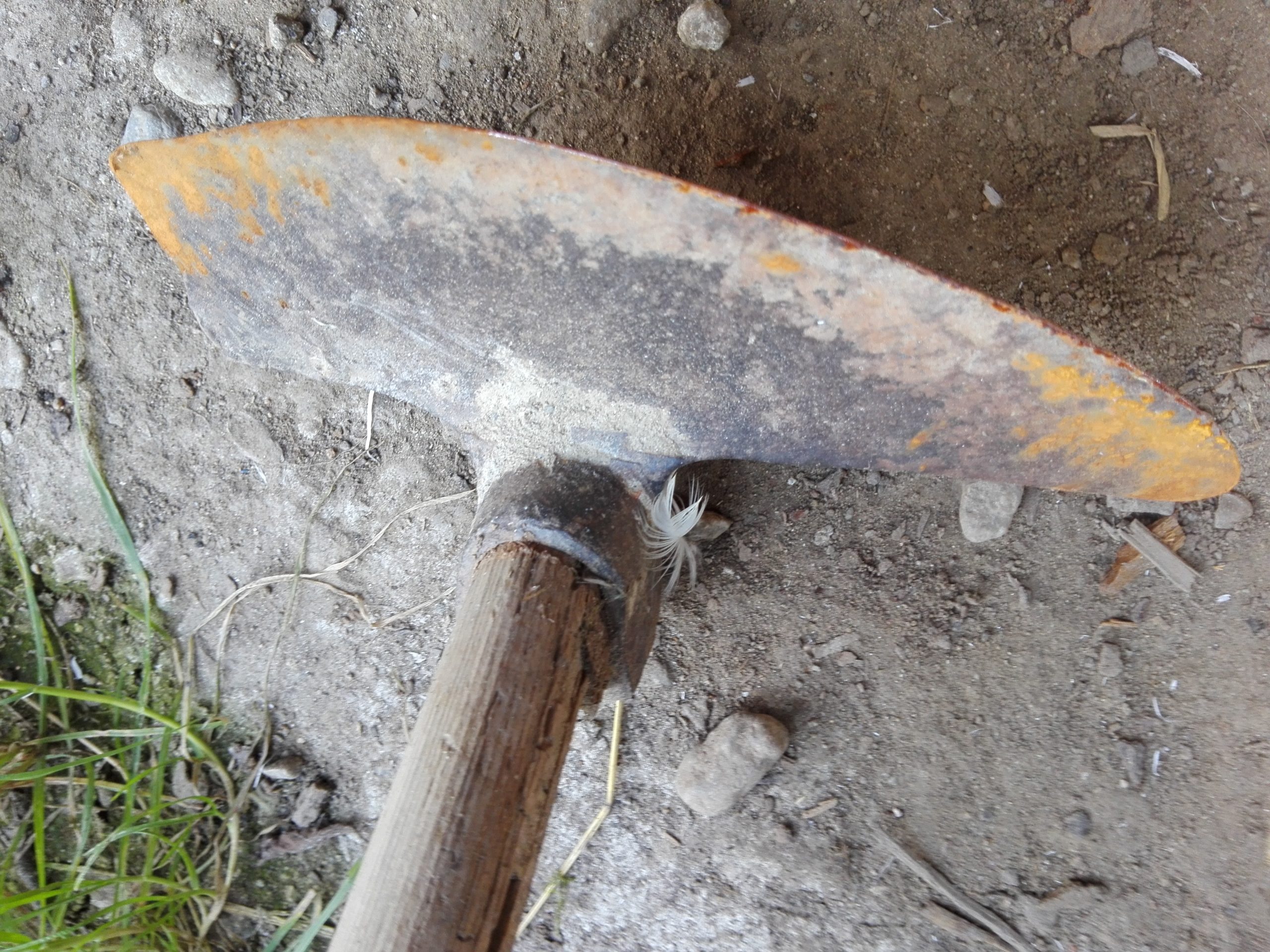 Azi despre ieri – 8 februarie 2020