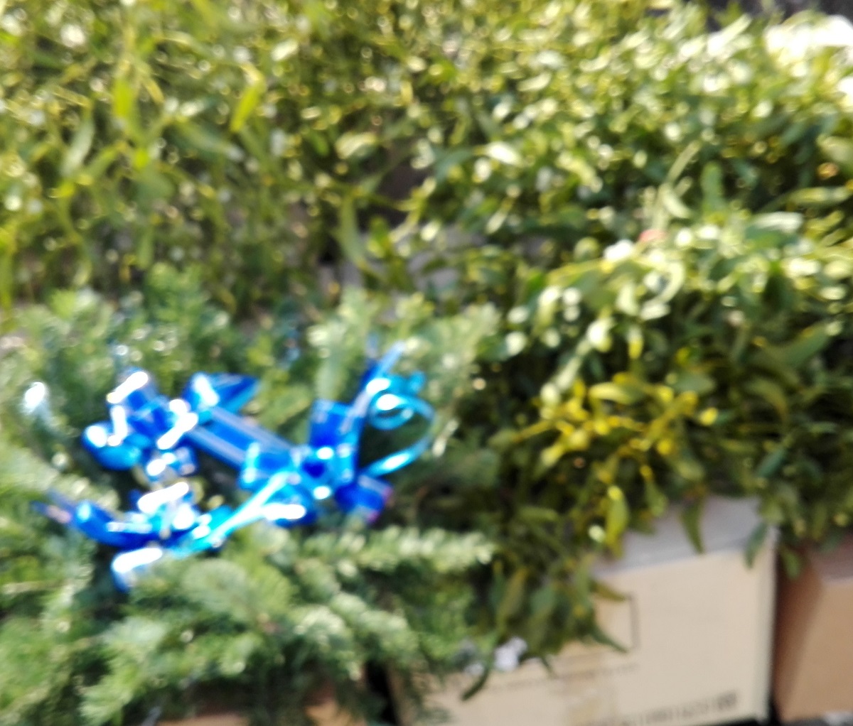 Vremea, astăzi, în Oltenia