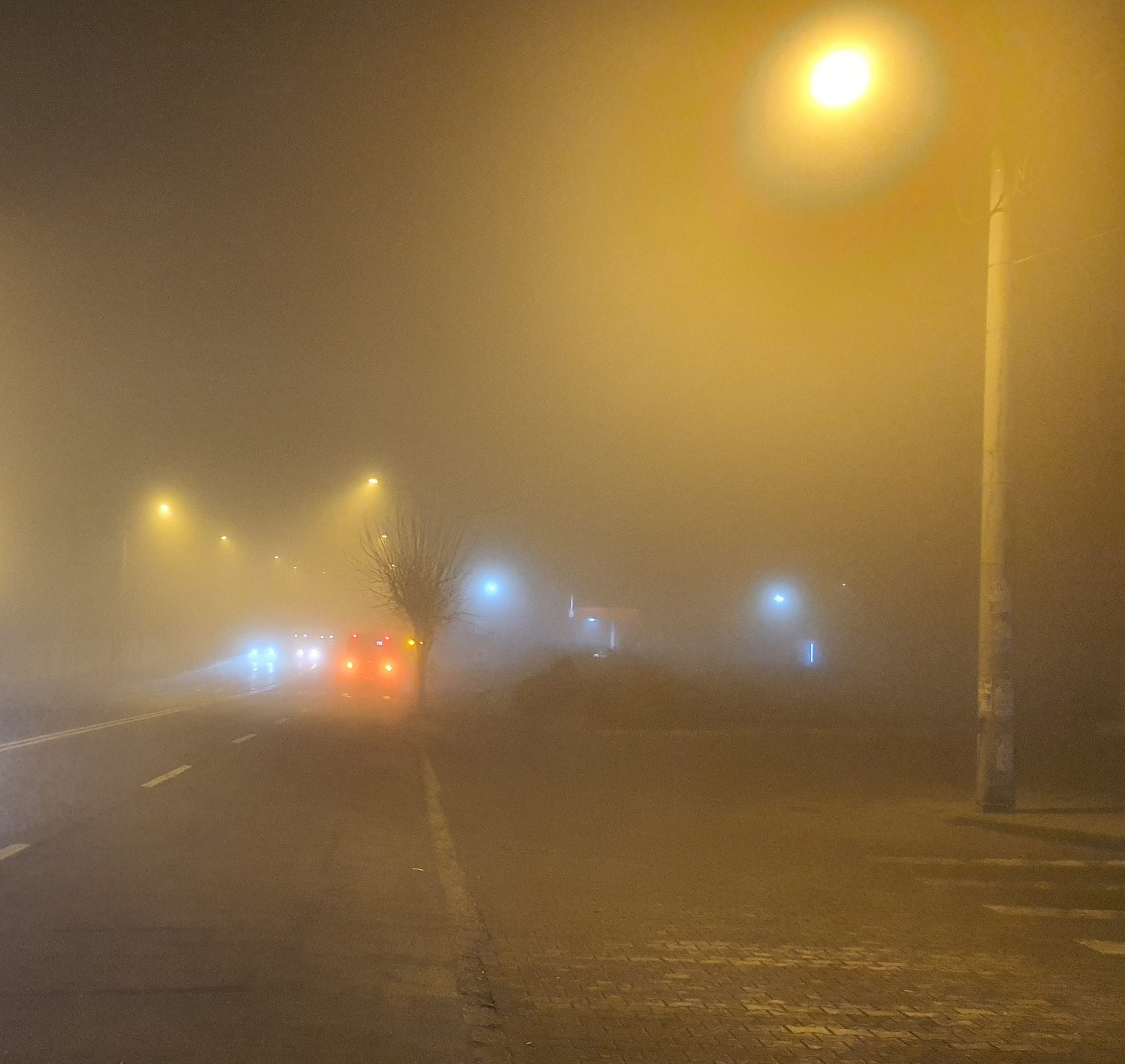 Azi despre ieri – 4 februarie 2020