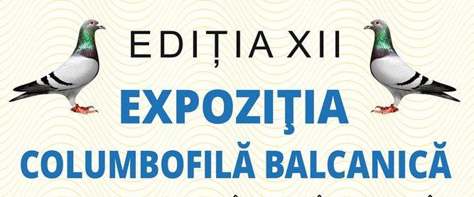 Expoziție de porumbei la Râmnicu Vâlcea
