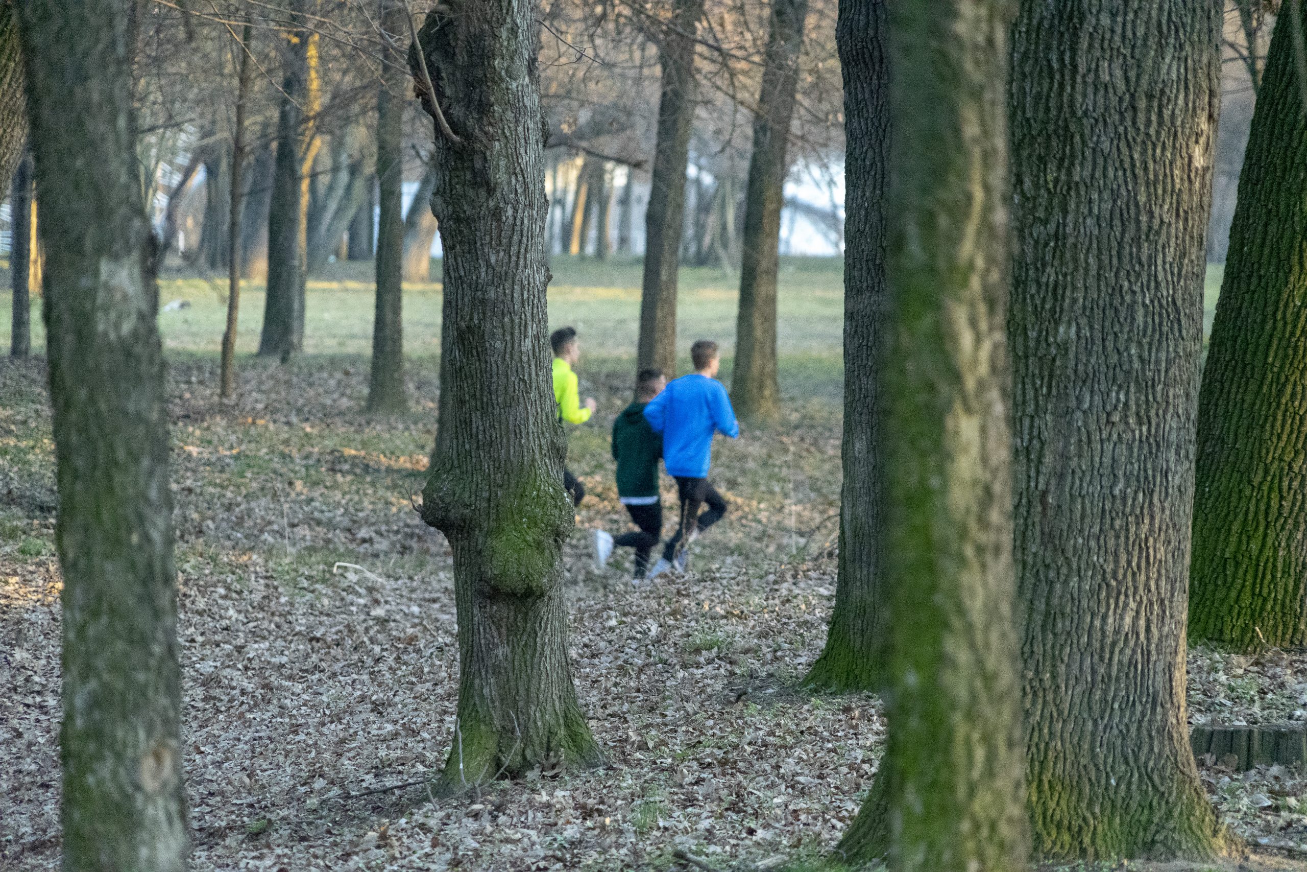 Vremea, 20/21 februarie, în Oltenia