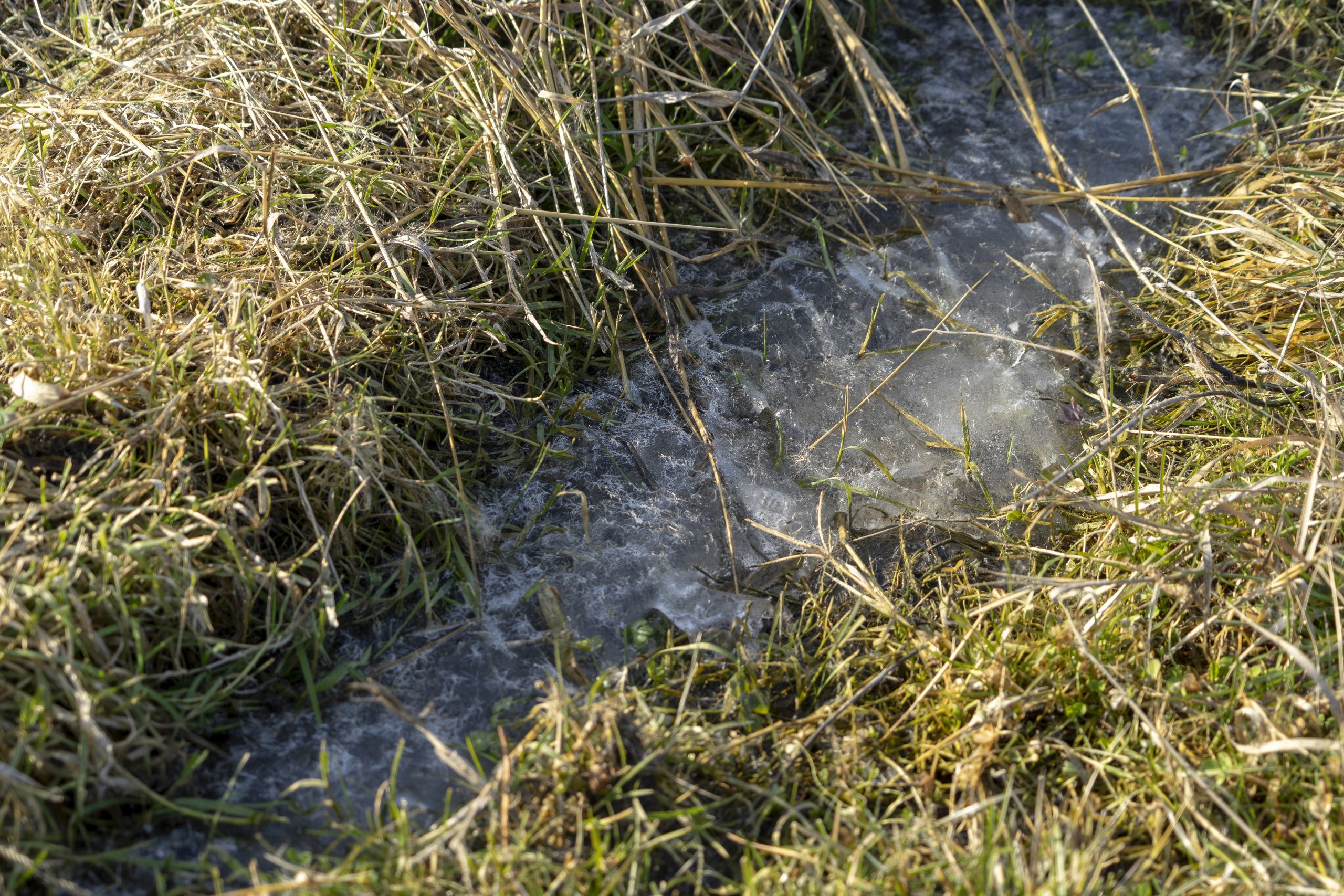 Vremea, 14/15 februarie, în Oltenia
