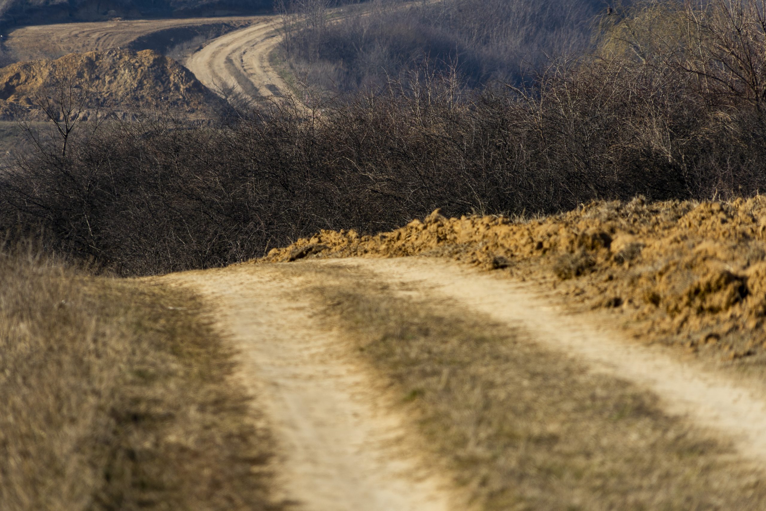 Azi despre ieri – 19 februarie 2020